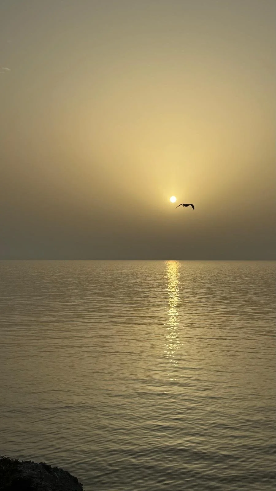 What the Sea Gives Back                                                                                            On Silence, Sunlight, and Coming Back to What Is Simple