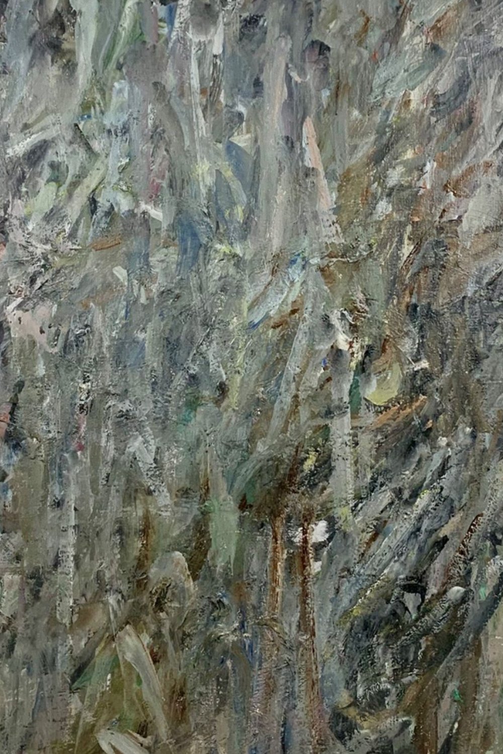 Image-01.jpg