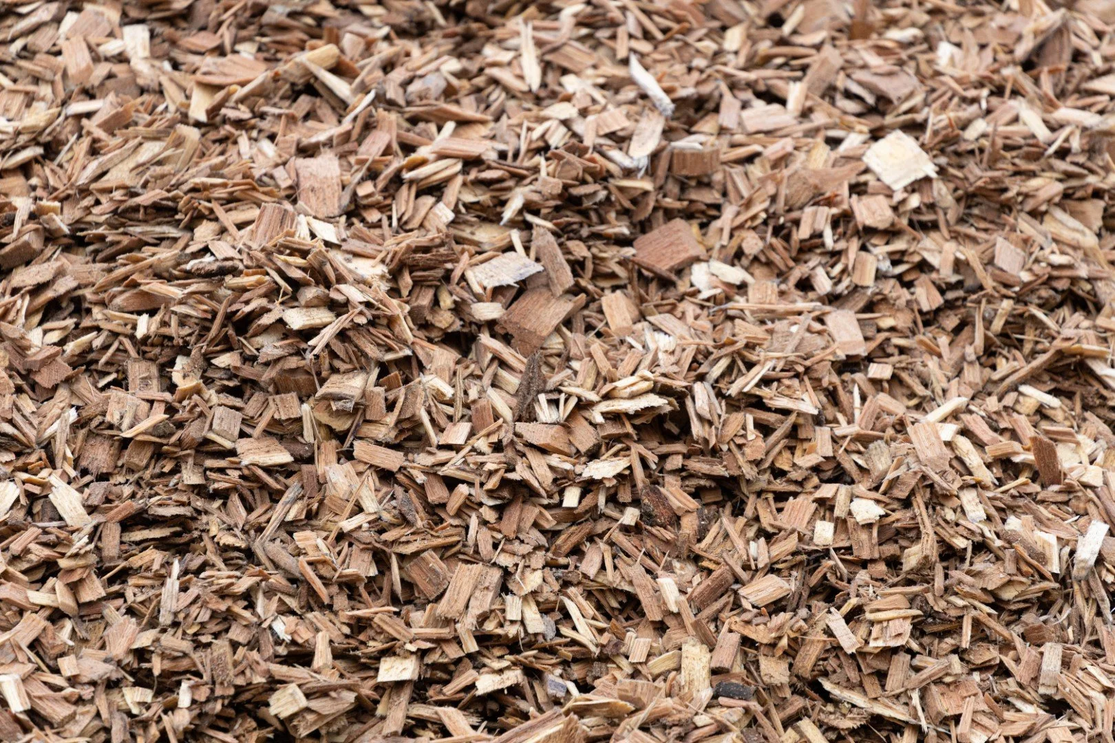 About Haliburton Forest Biochar | Sustainable Biochar Production in ...