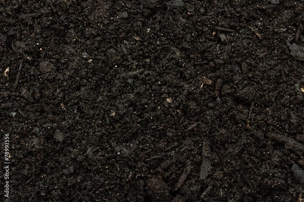 Custom Biochar Solutions for Manufacturing & Soils | Haliburton Forest ...