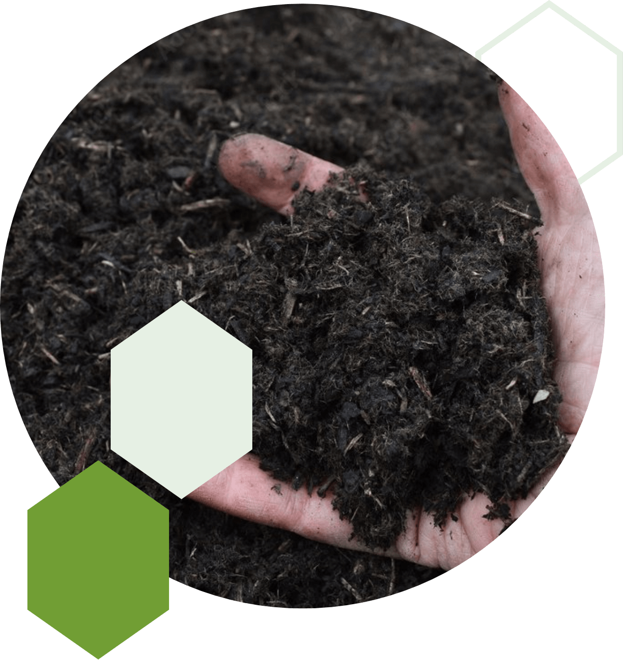 High-Quality Biochar from Sustainable Forests | Haliburton Forest ...