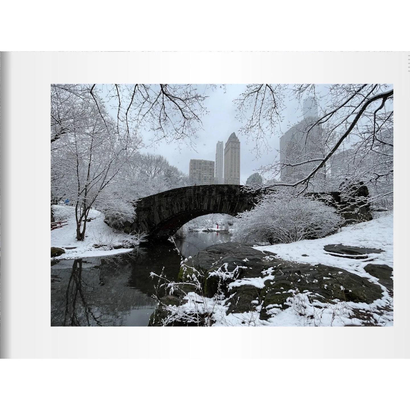Back when we got snow in NYC&hellip;.which one do you like?