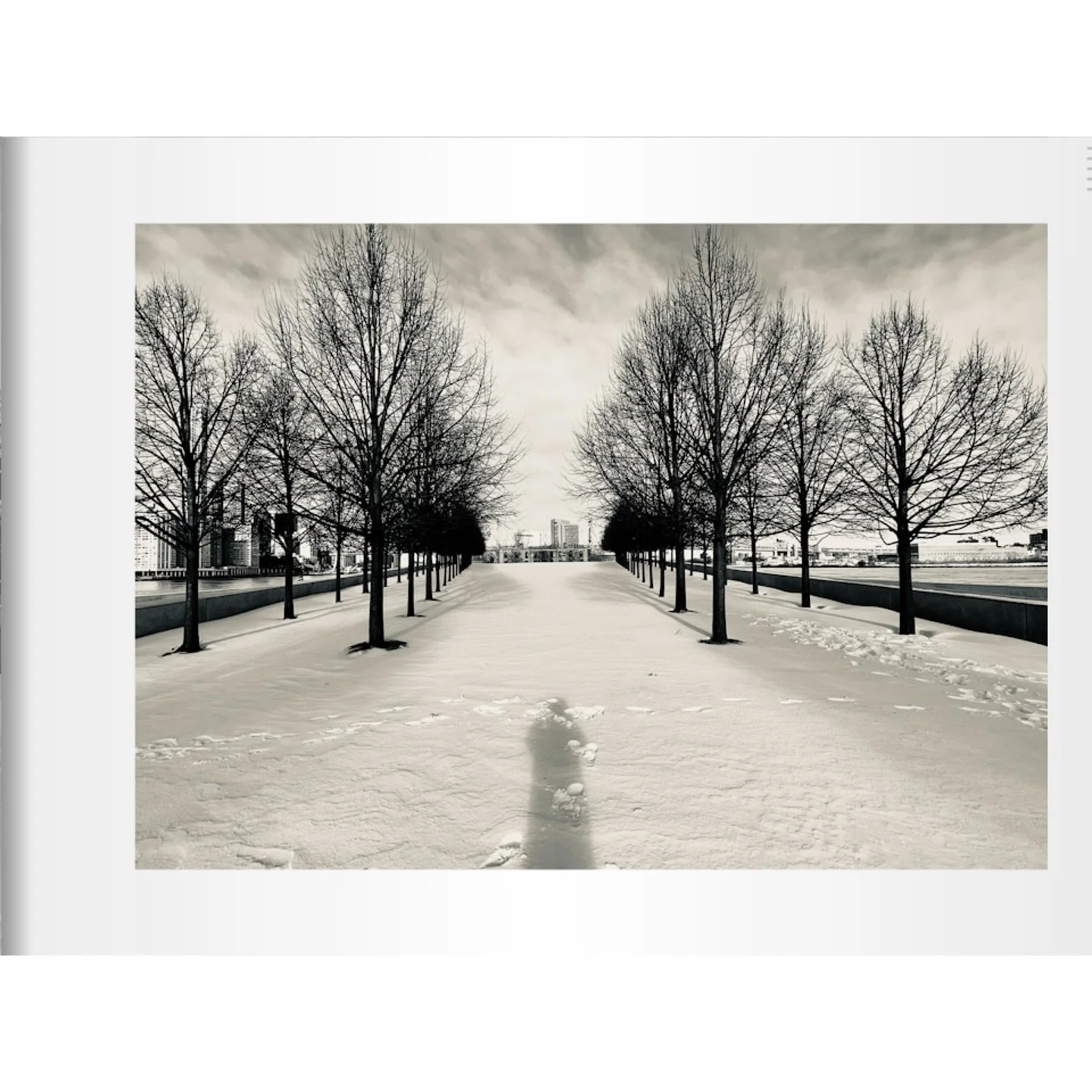 Remembering snow ❄️ in NYC&hellip;..#pramitmitraphotography #pramitmitra #rooseveltisland #nyc #manhattan #nycwinter #bnwphotography #bnw_captures #blackandwhitephotography #winter #snow #bnwmood