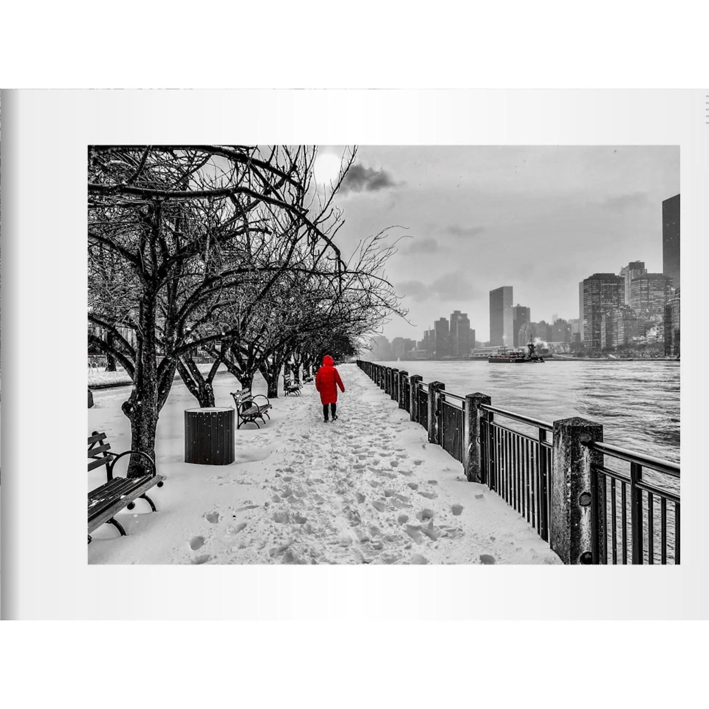Dreaming of some snow this winter&hellip;..#pramitmitraphotography #pramitmitra #bnw #bnwphotography #bnw_captures #blackandwhitephotography #amaturephotography #bnwphoto #photography #photographylovers #photographylife #monochrome #monochrom #bnwmoo