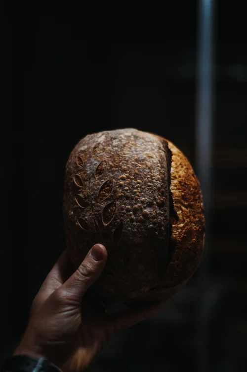 Bread Fellow