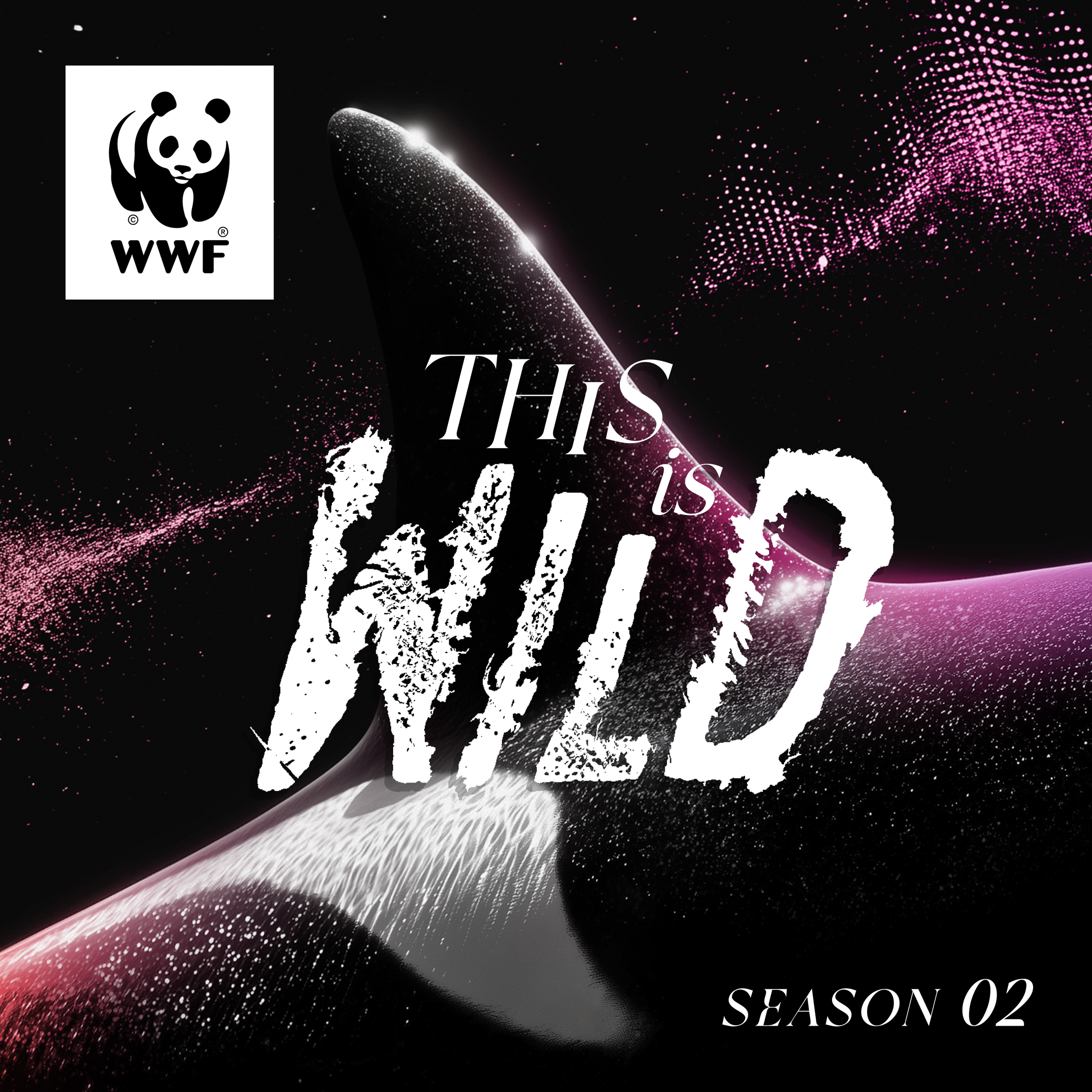 This Is Wild, WWF-Canada’s hit podcast, returns with a look at the fragile future of southern resident killer whales and other species at risk.