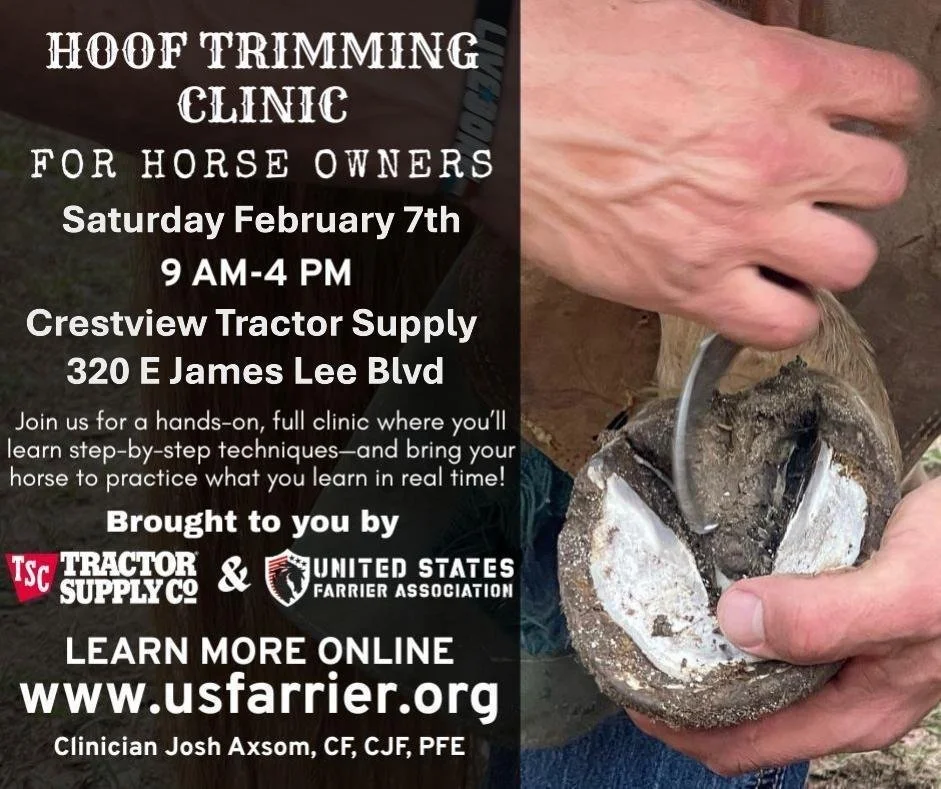 Saturday Clinic: Full Participation Ticket