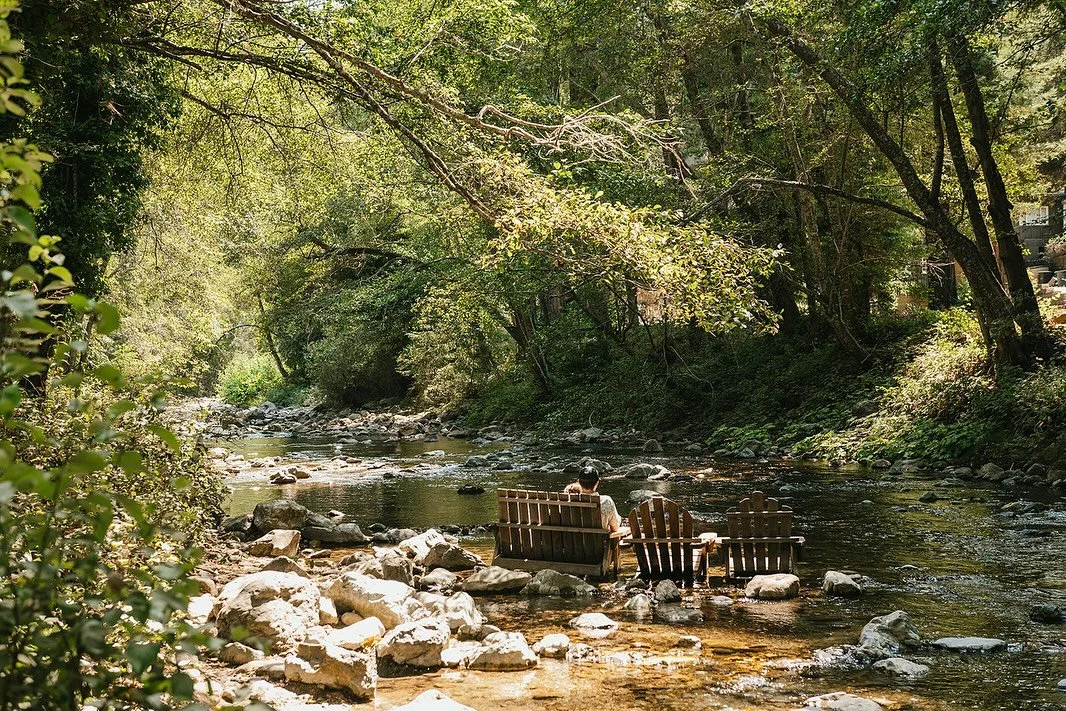 Stunning afternoon September ✨SUNBEAMS✨

Soaking it all in under the redwoods and down by the river.

📸: @hannahovereemphoto 

#BigSur #BigSurRiverInn #SunSeekers #AfternoonMagic #SlowDownSeptember #SeeMonterey #VisitCa
