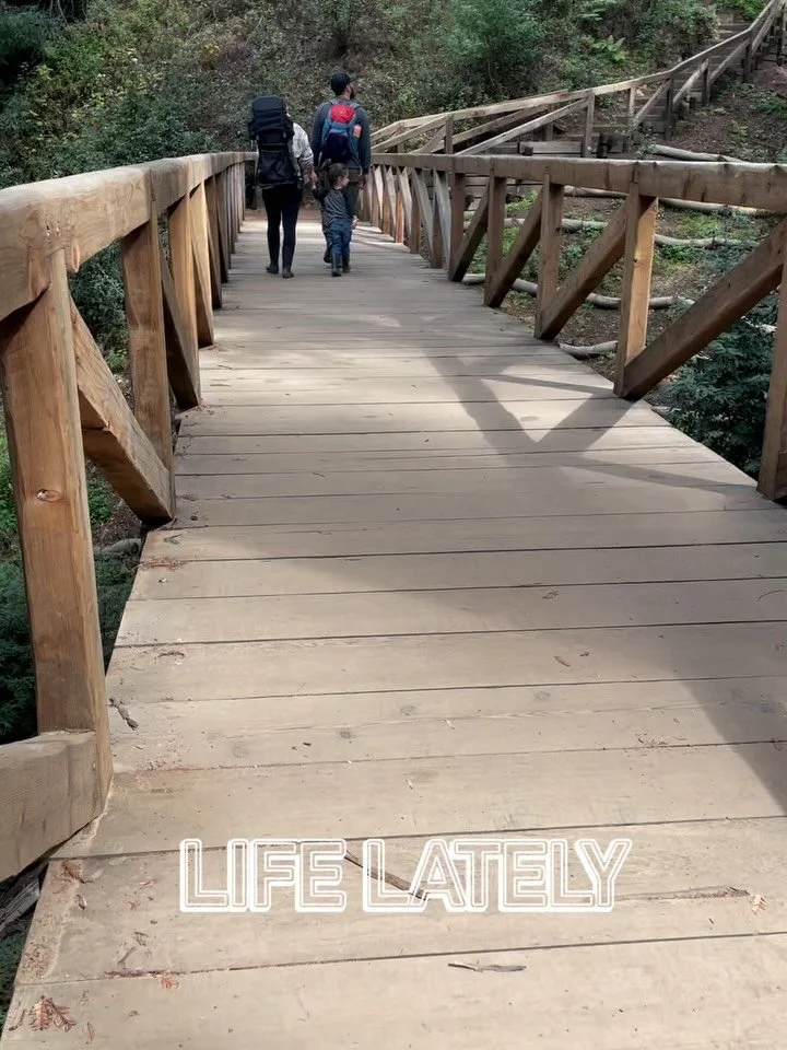 Happy Friday from the Sur💙

We hope your weekend is full of your favorite sights, sounds and tasty bites.

Cheers,
Big Sur River Inn

#BigSur #BigSurRiverInn #CheersToTheWeekend #BigSurBaseCamp #SeeMonterey