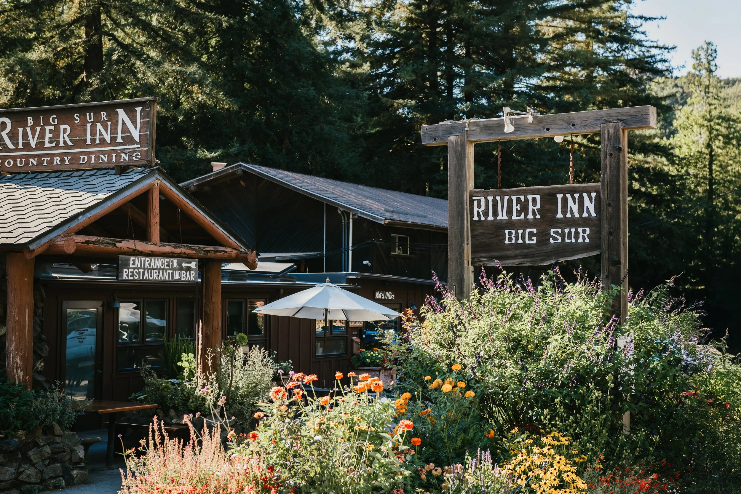 Sunday Music / landing trio