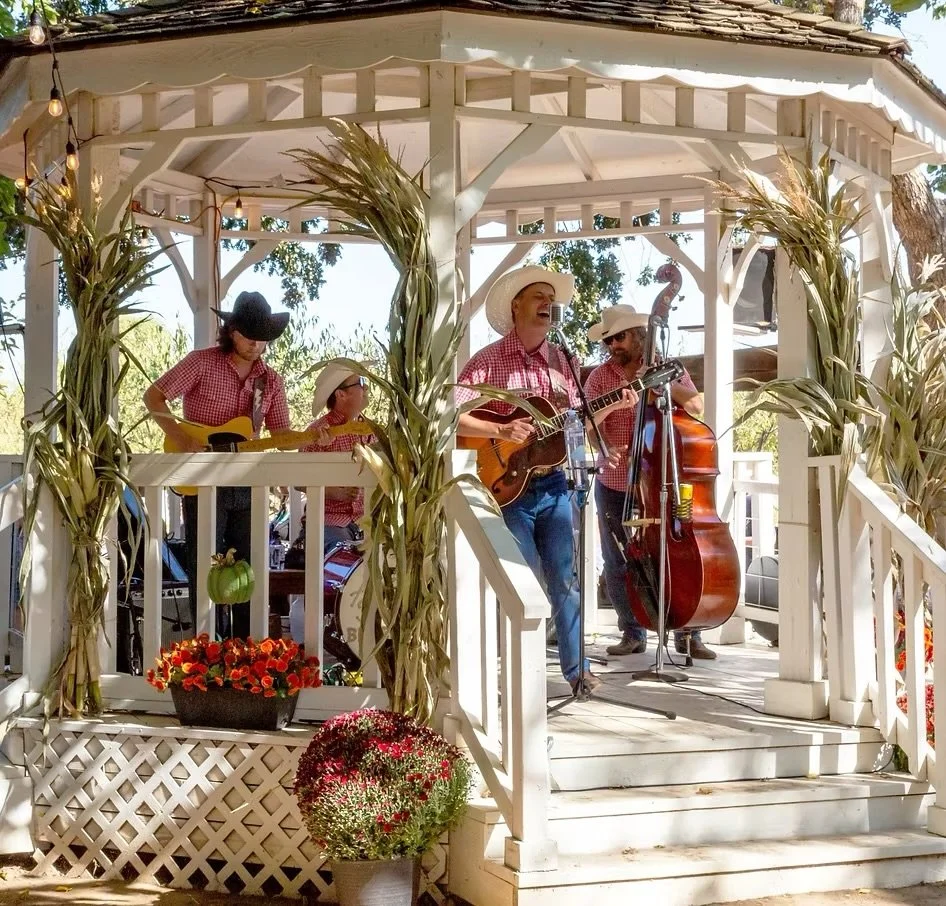 Sunday Music / Aaron burnham + the brushfires