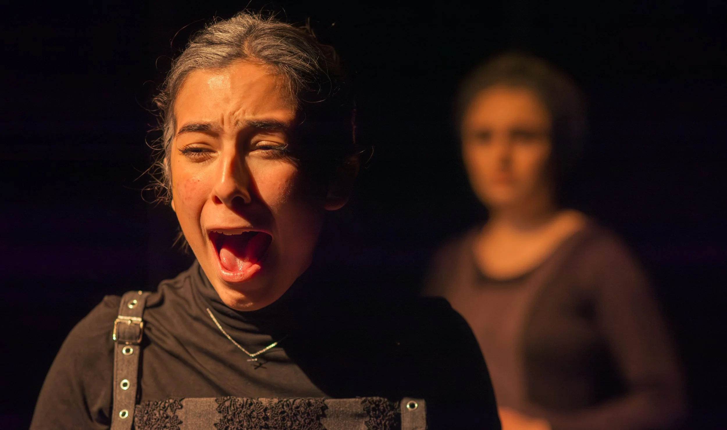 CloseupHOBA (Compressed) 6.jpg