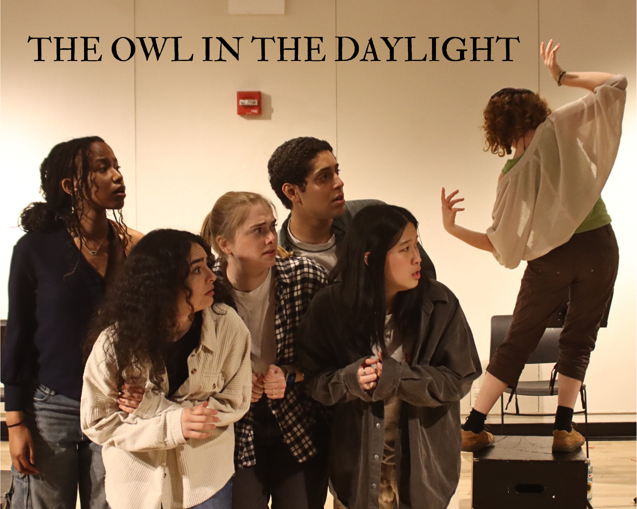 THE OWL IN THE DAYLIGHT.png