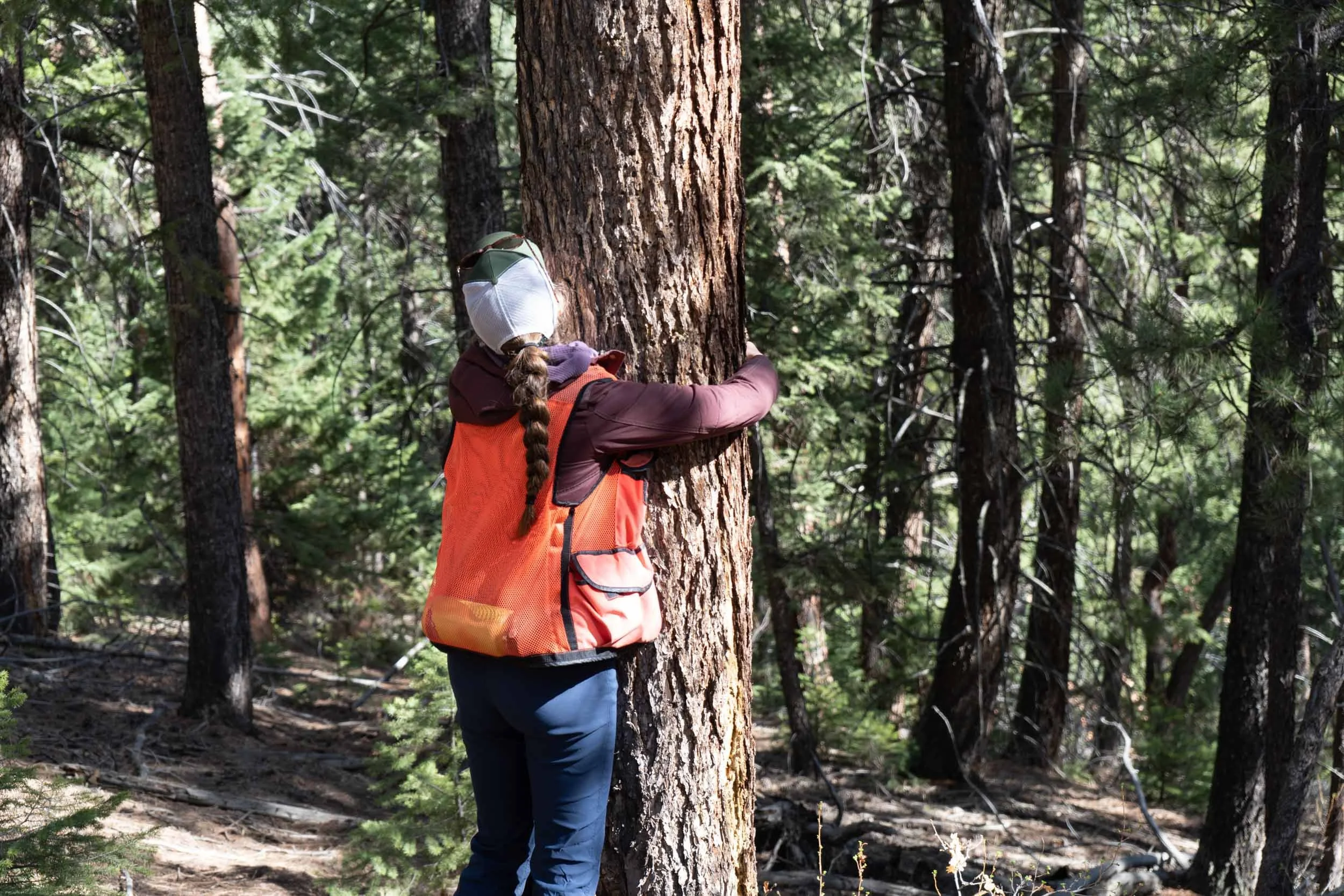 Join Our Team Empowering Conservation Careers at Jefferson