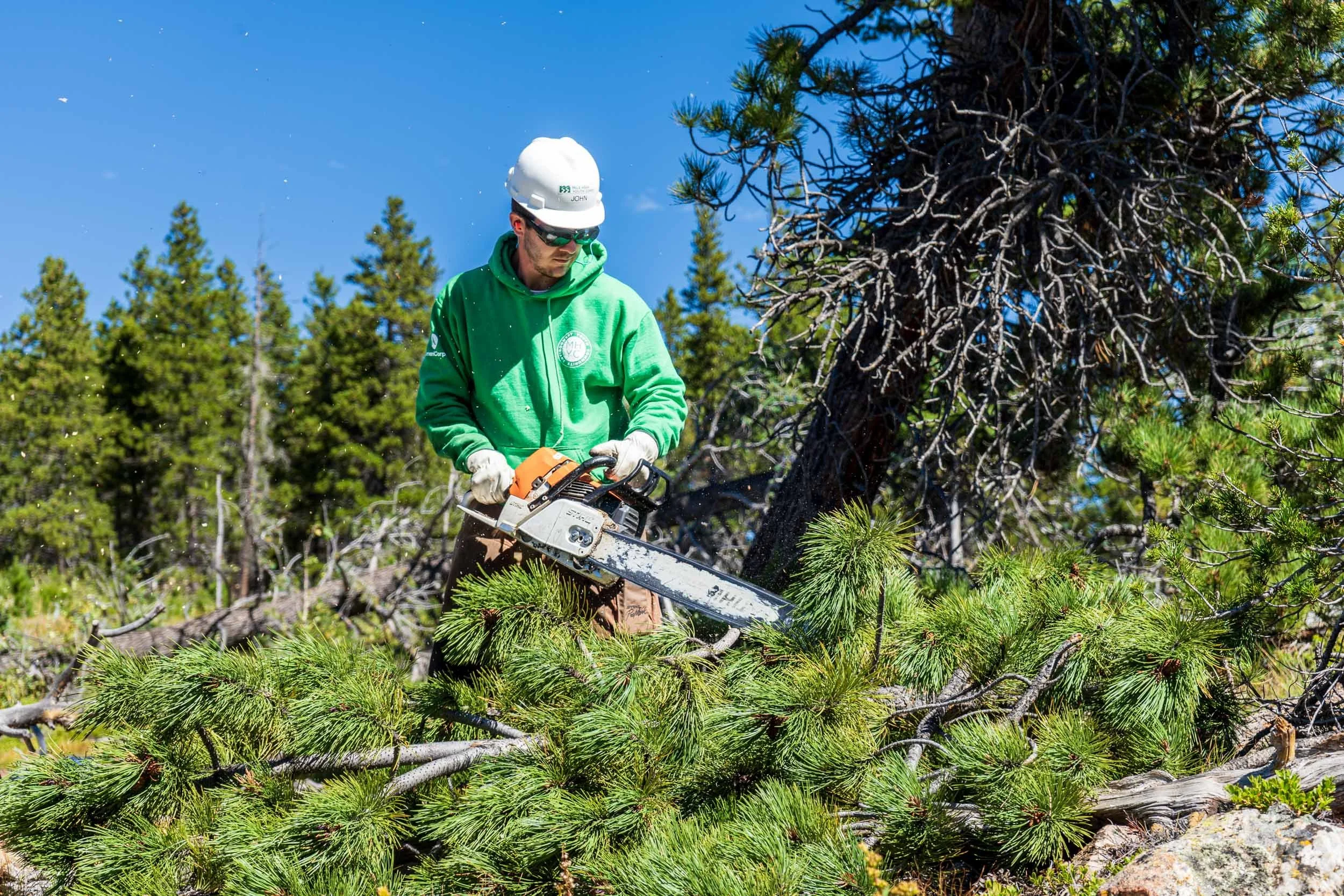 Join Our Team Empowering Conservation Careers at Jefferson