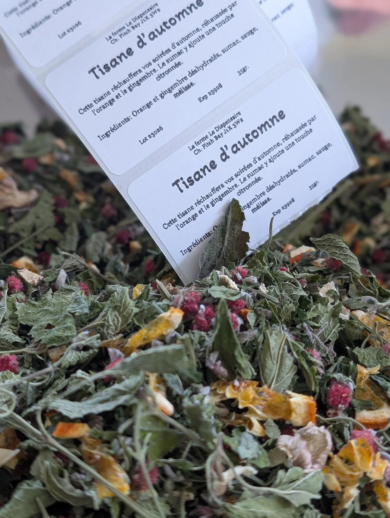 tisane d'automne.JPG