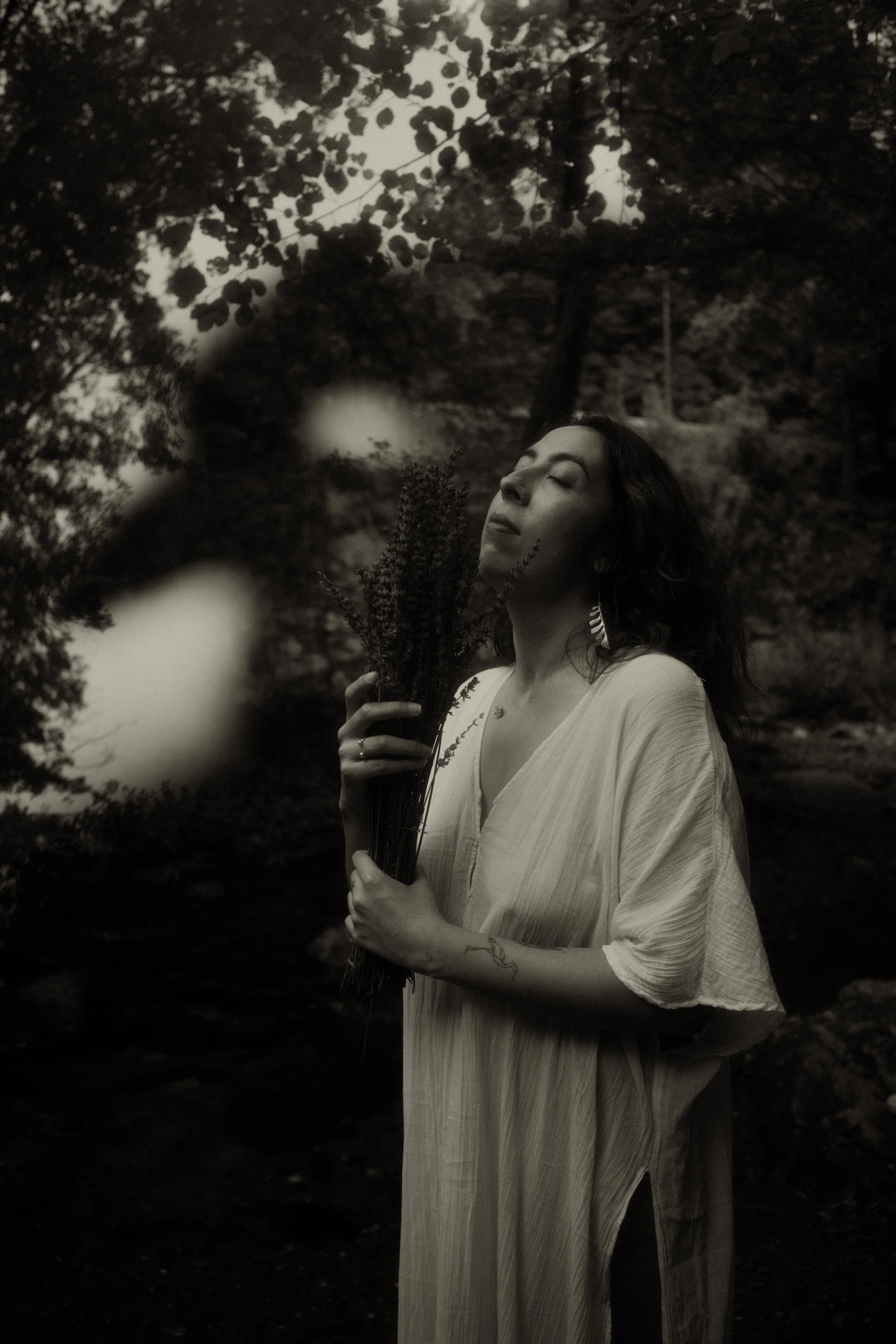 El alma de los desiertos: libro