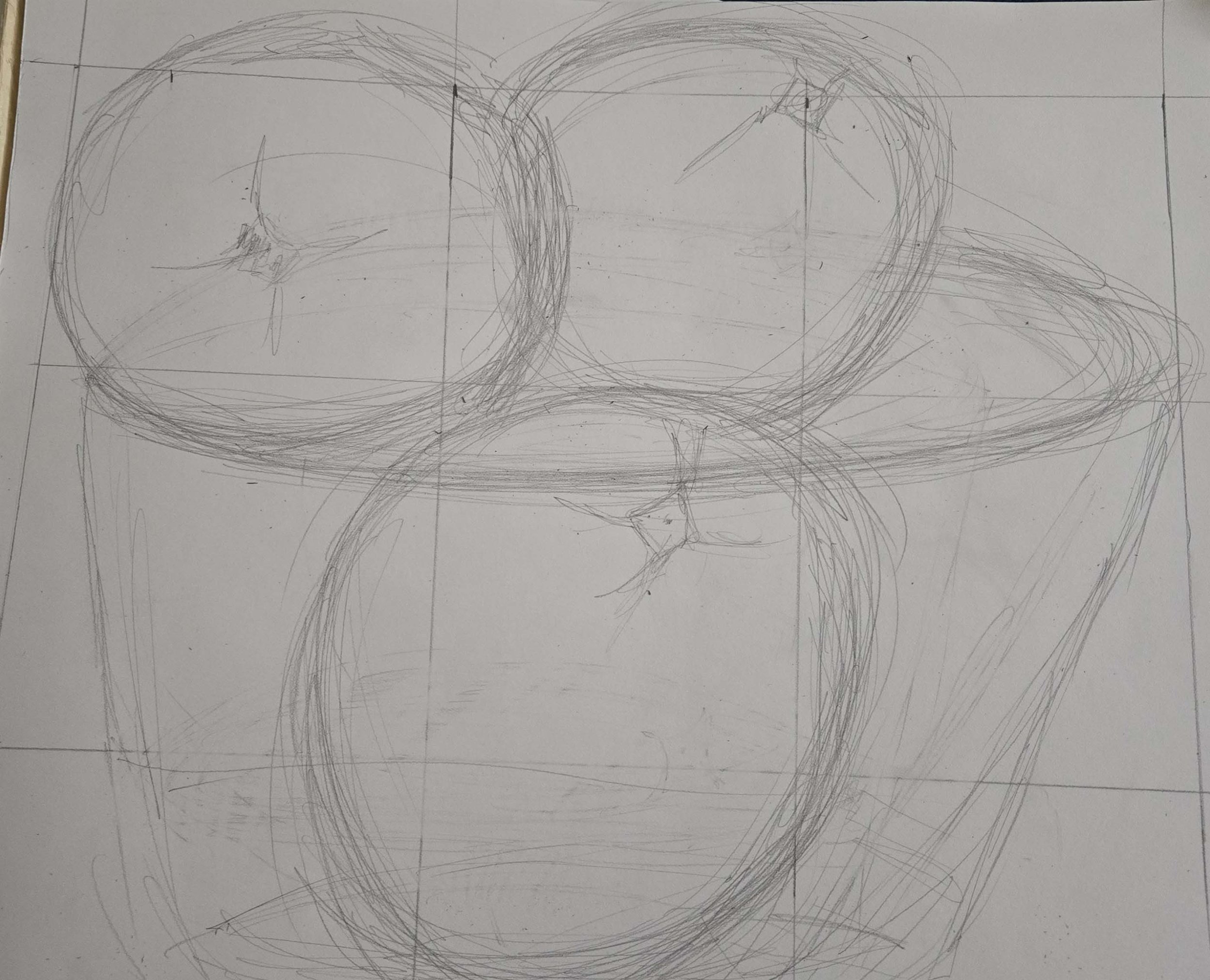 Contour Drawing-wk-honeysuckle.jpg