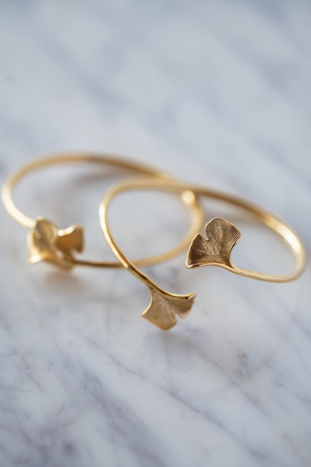 Screenshot 2026-03-20 at 11.46.54 AM.png