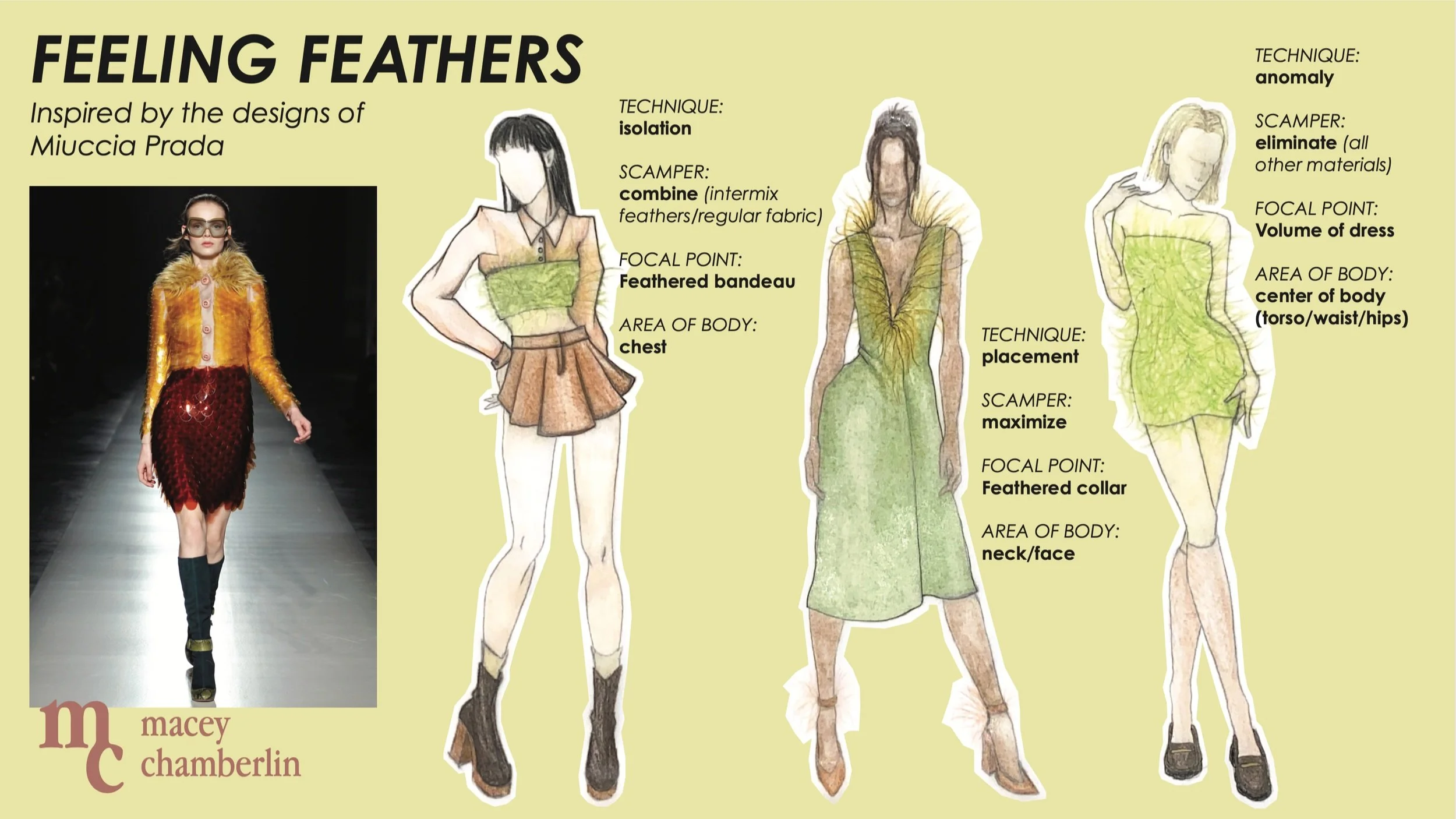 Designs focused on emphasis– inspired by the designs of Muiccia Prada