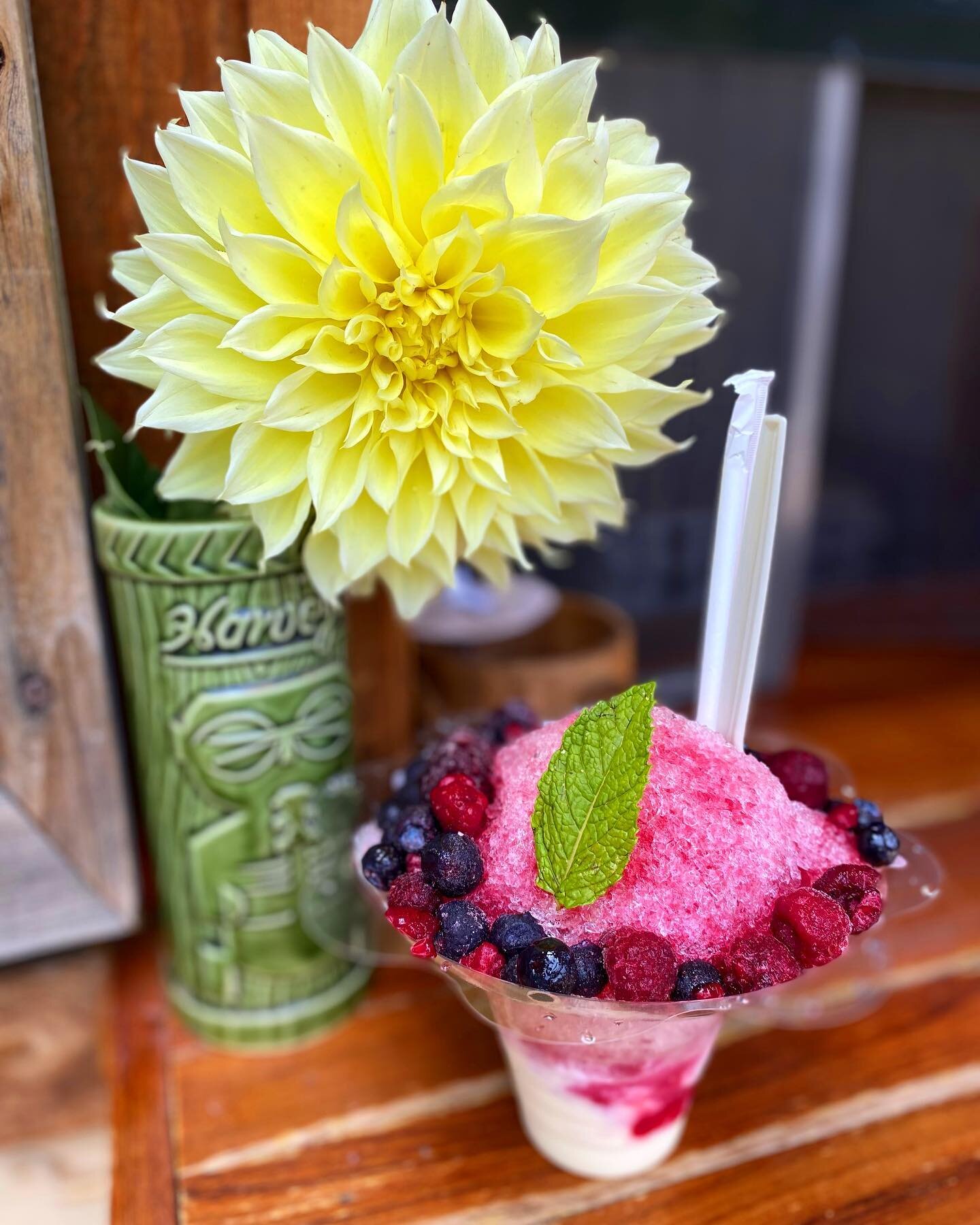 ADRIFT SHAVE ICE IS OPEN! 
Come and cool off with a tasty Hawaiian Style Shave Ice🍧 #adrifttahoe #shaveice🍧