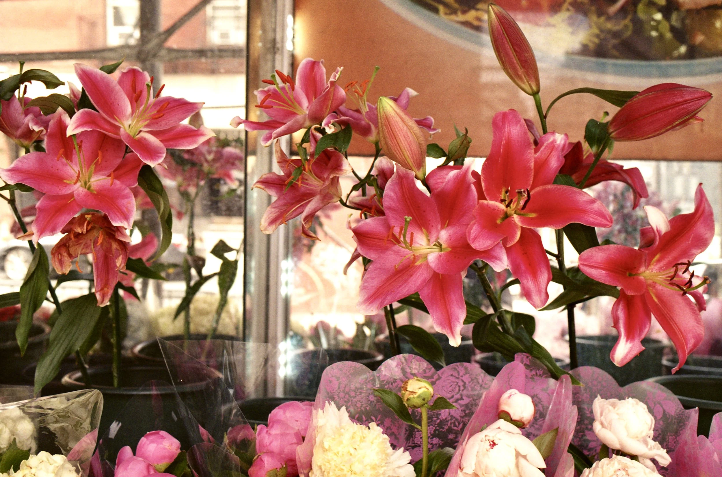 May 202520250603_12081788_169.jpg