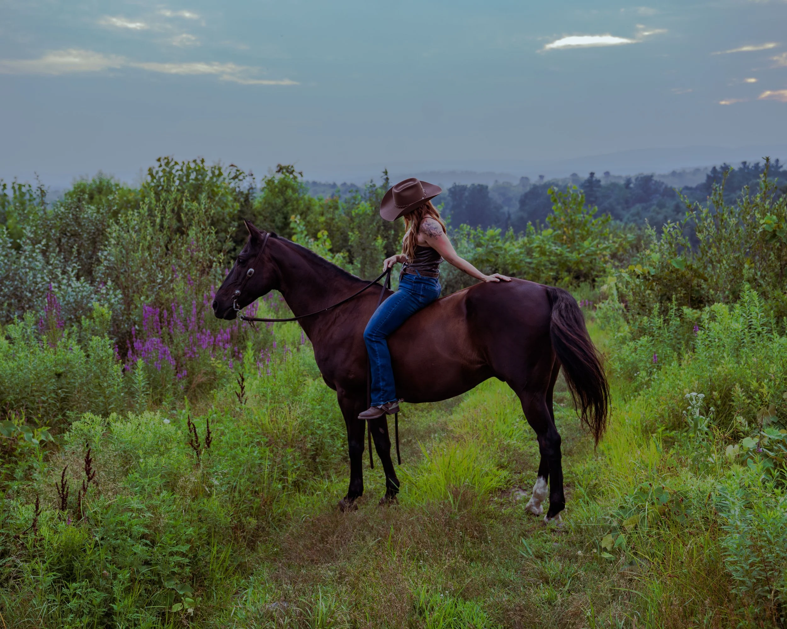 250726_EquineHorizontalTest (2).JPG