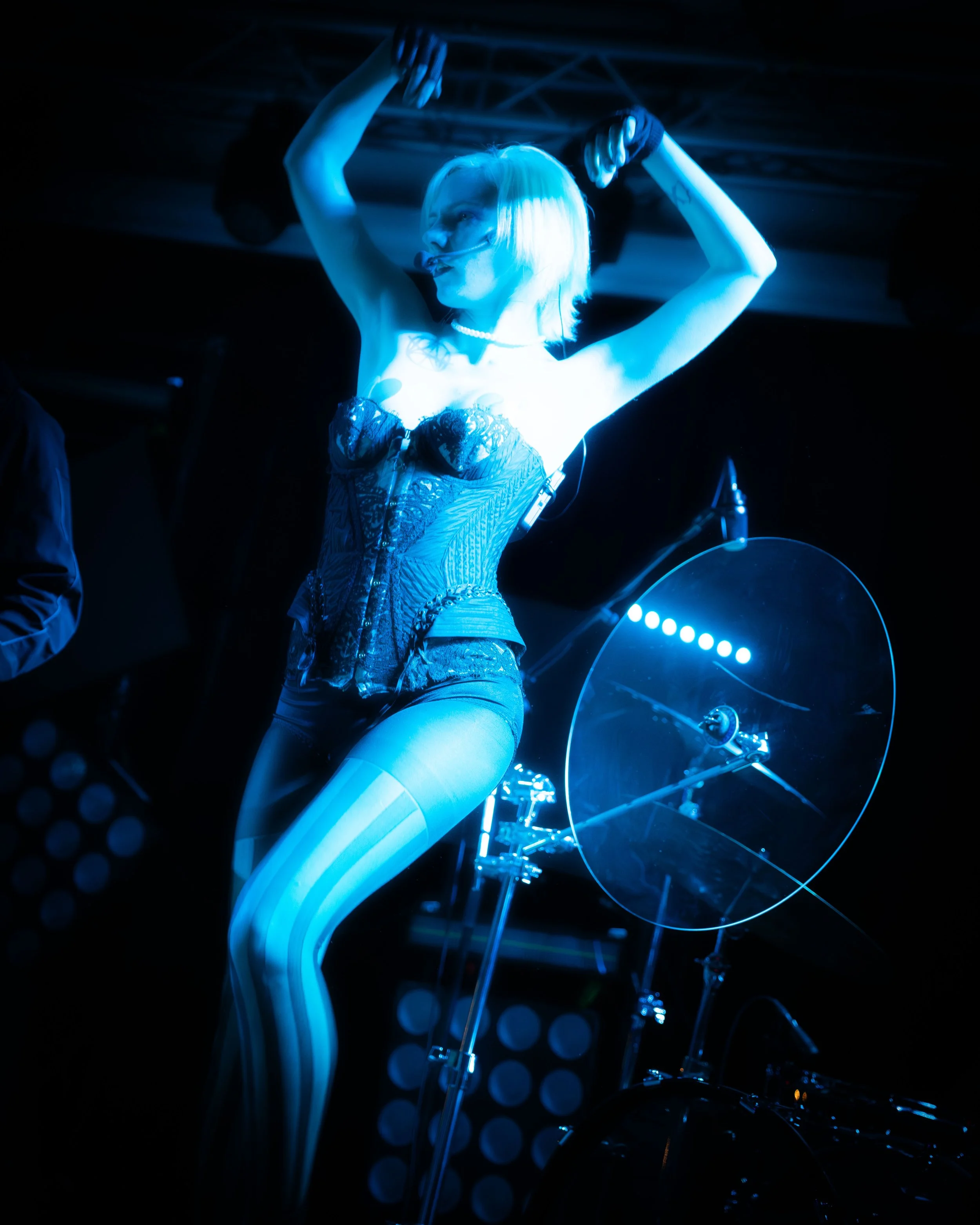 CoatiePop3 (1).JPG