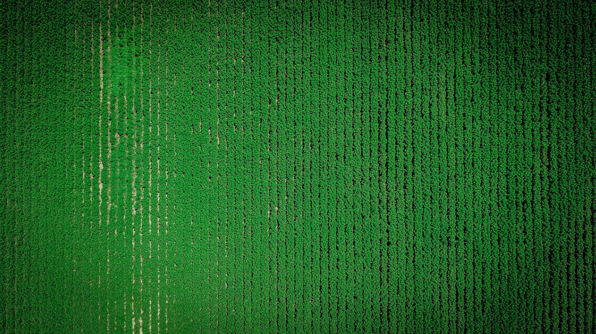 unsplash-image-fHUCy9RO34g.jpg