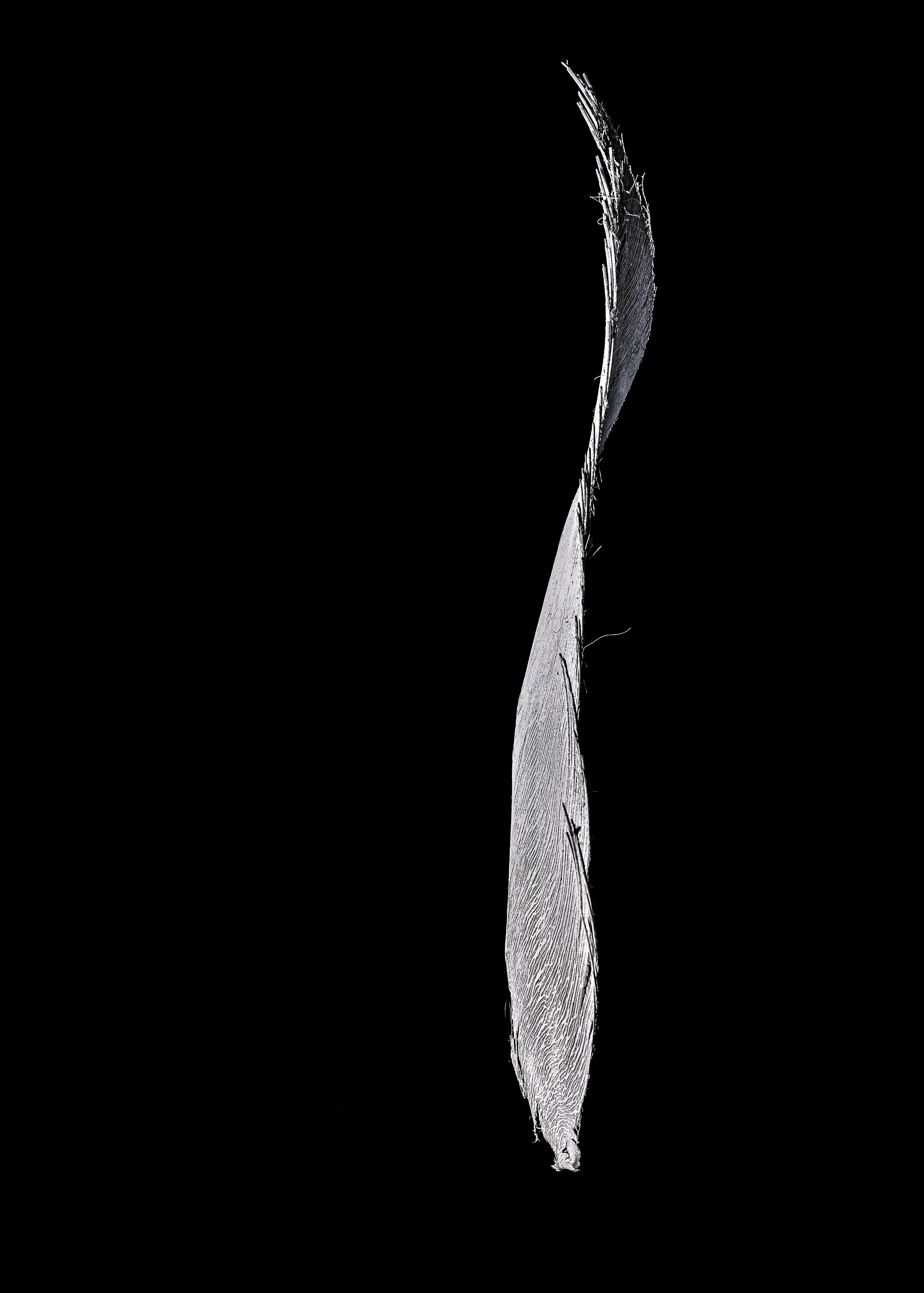 L1250564.jpg