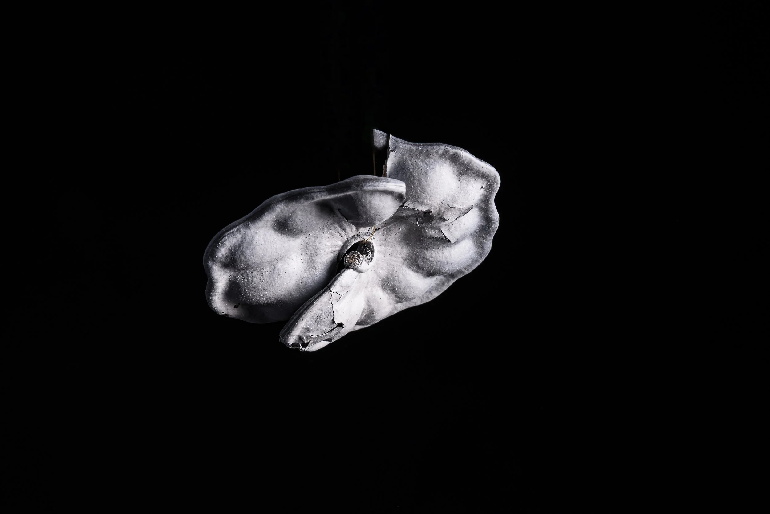 L1250769.jpg