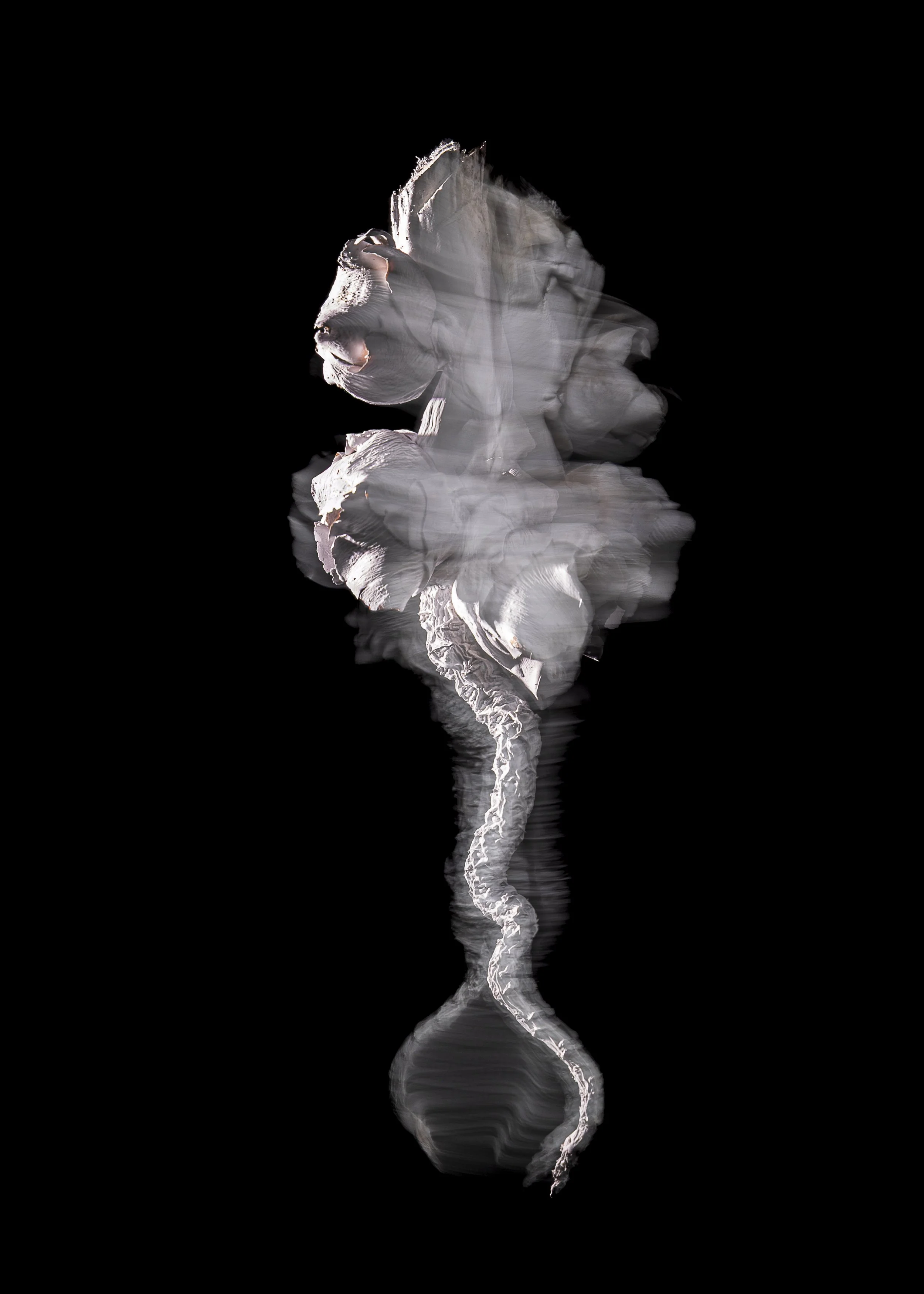 L1260284.jpg