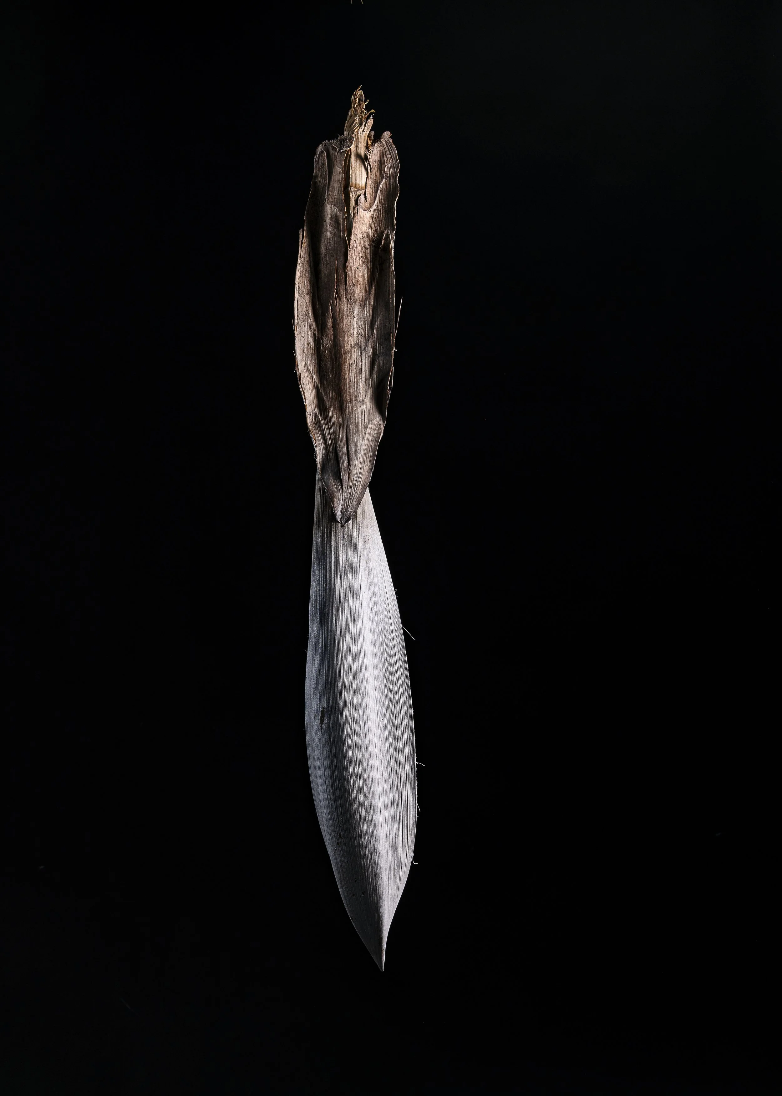 L1250624.jpg