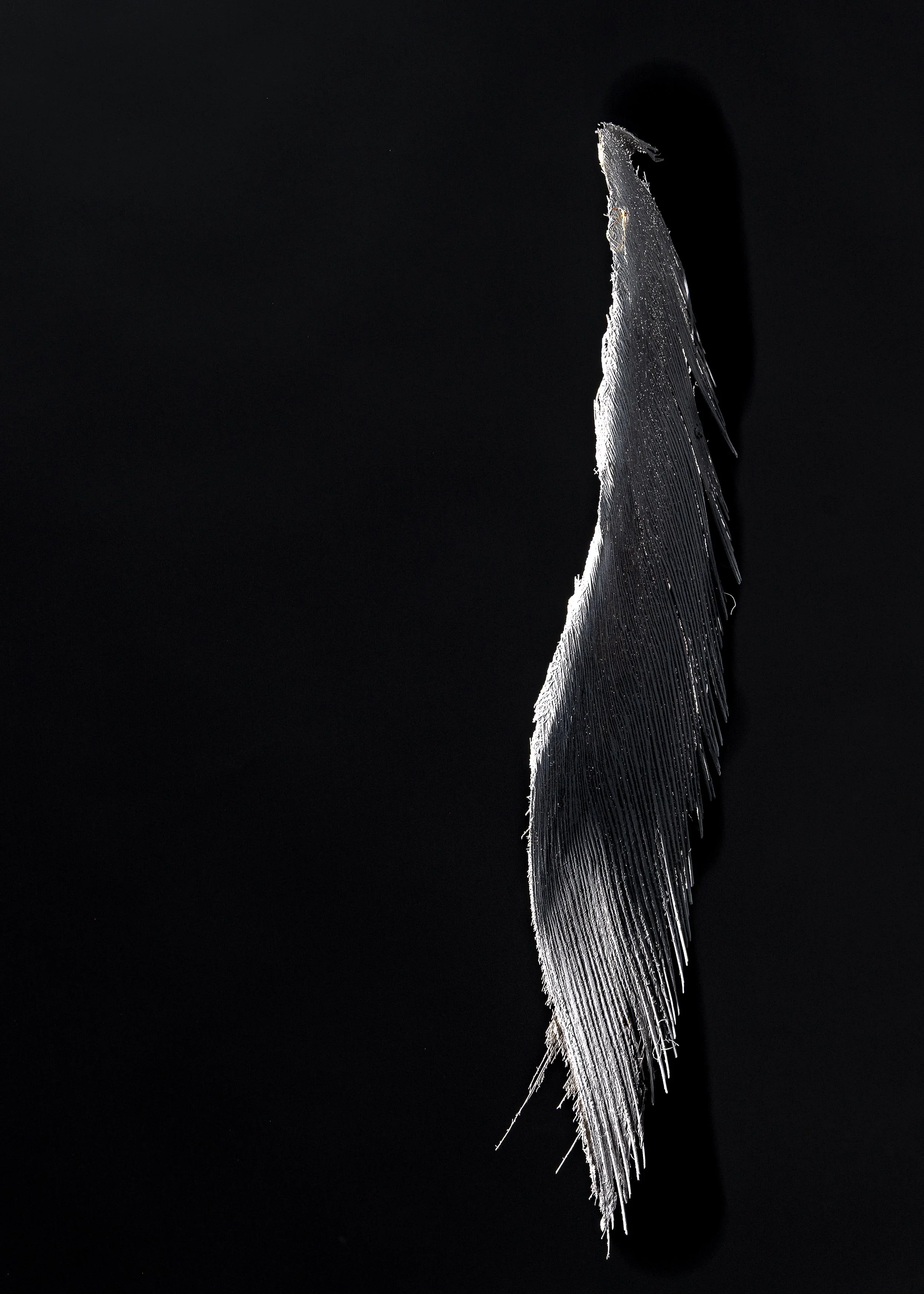 L1250563.jpg