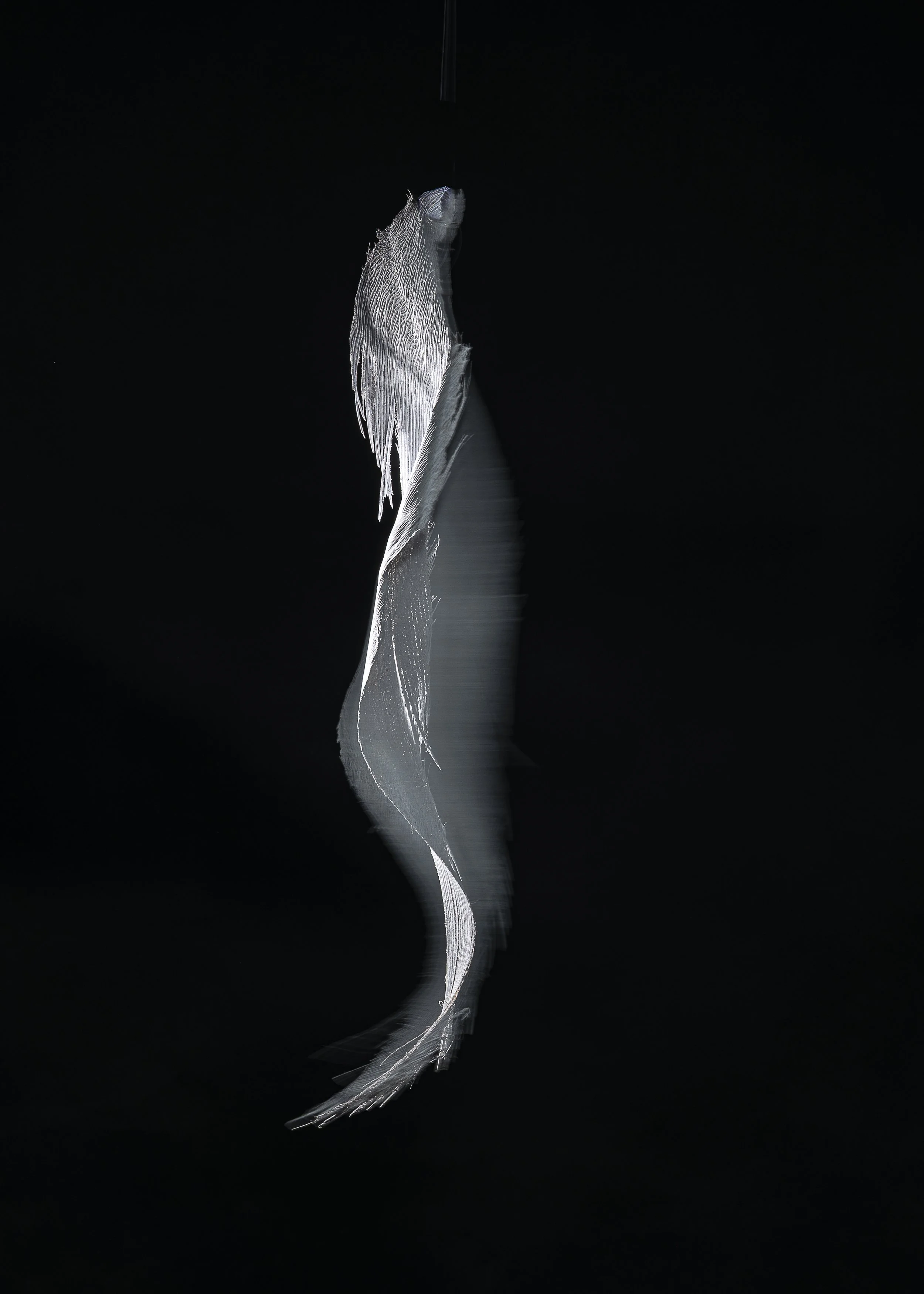 L1260133.jpg