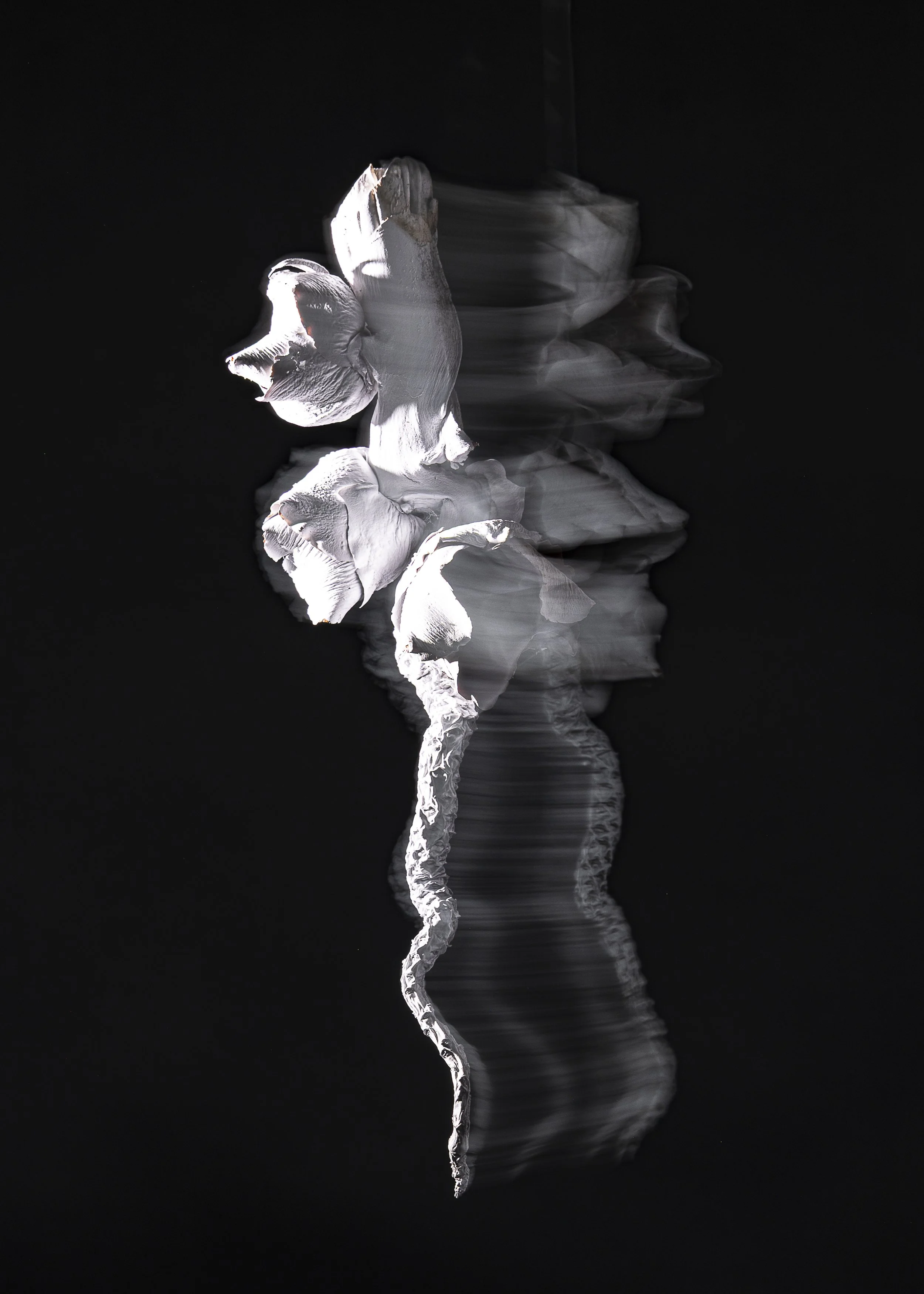 L1260266.jpg