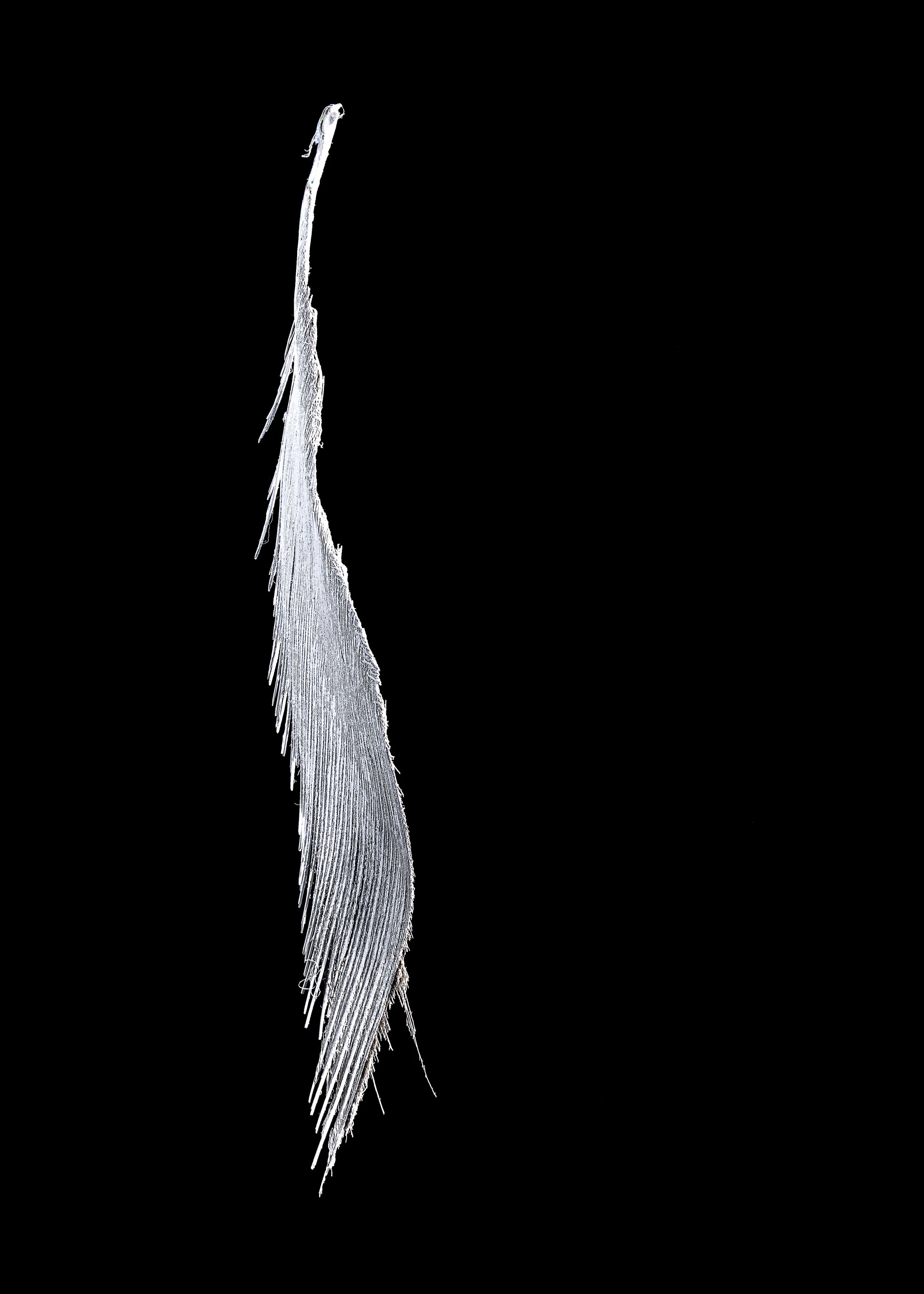 L1250607.jpg