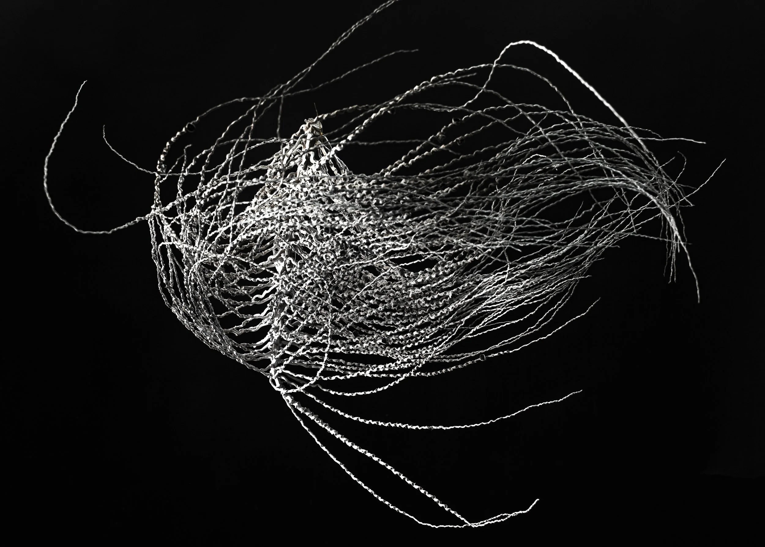 L1250126.jpg