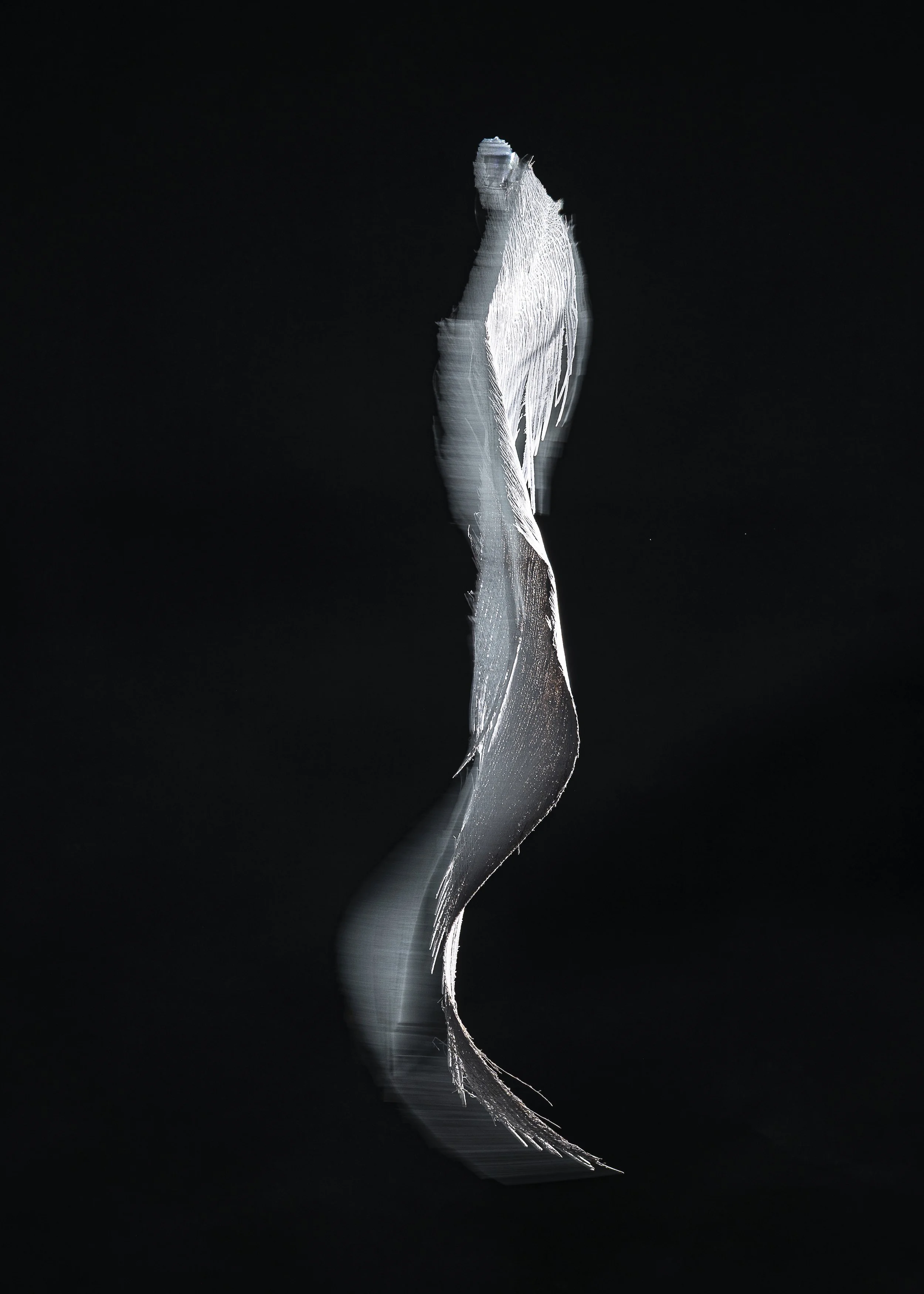 L1260139.jpg