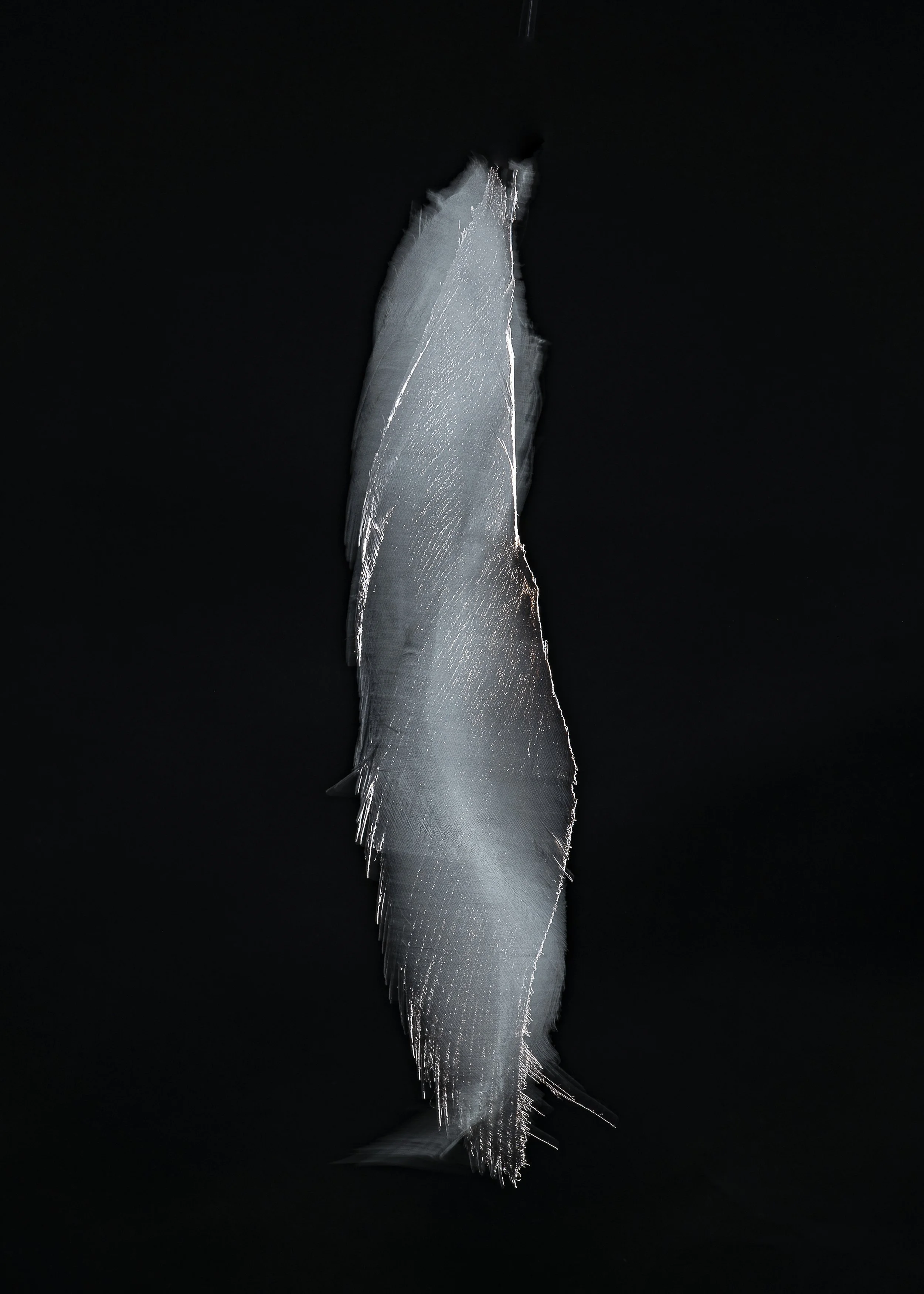 L1260136.jpg