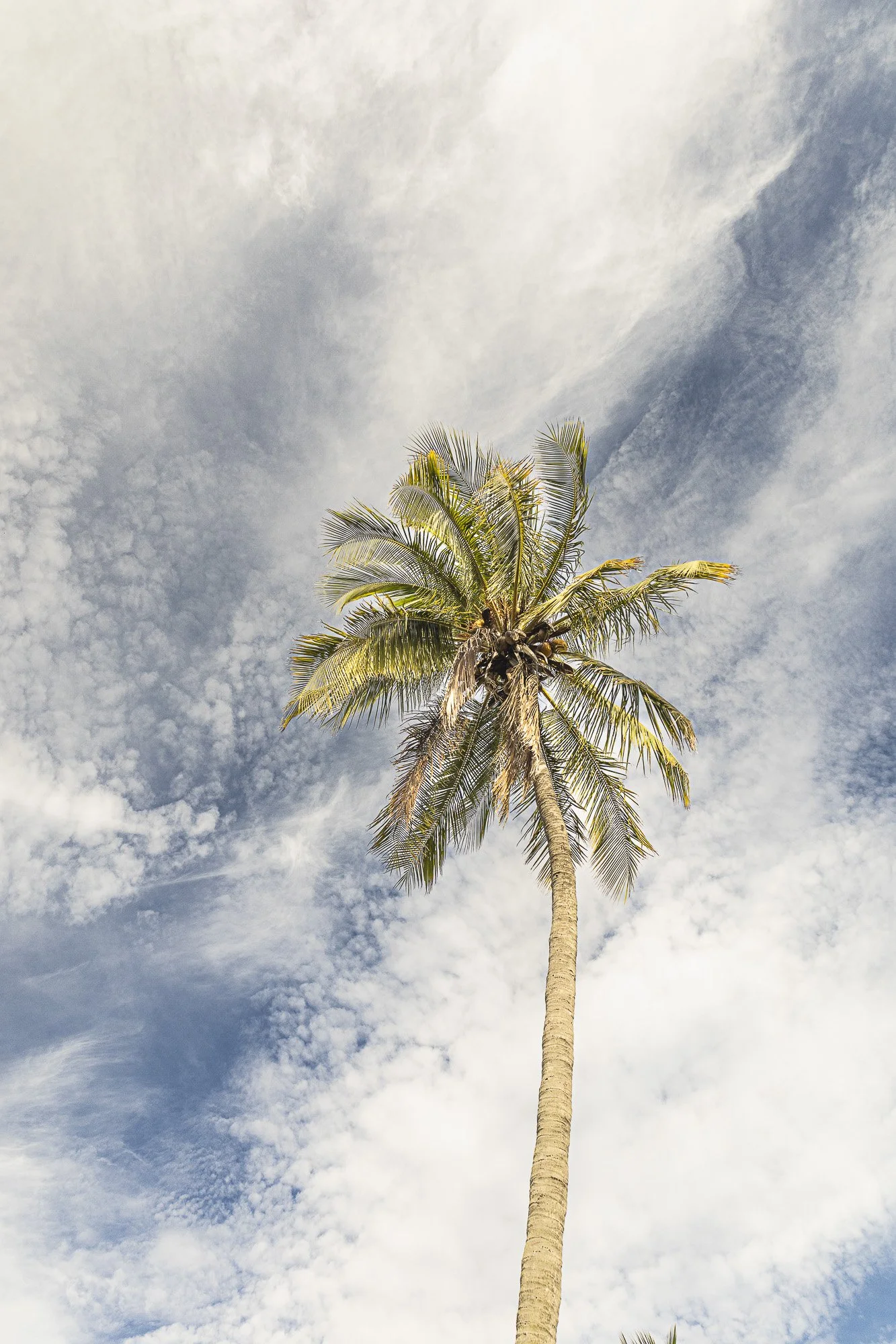 Luisa Brillembourg-Infinitud-01.jpg