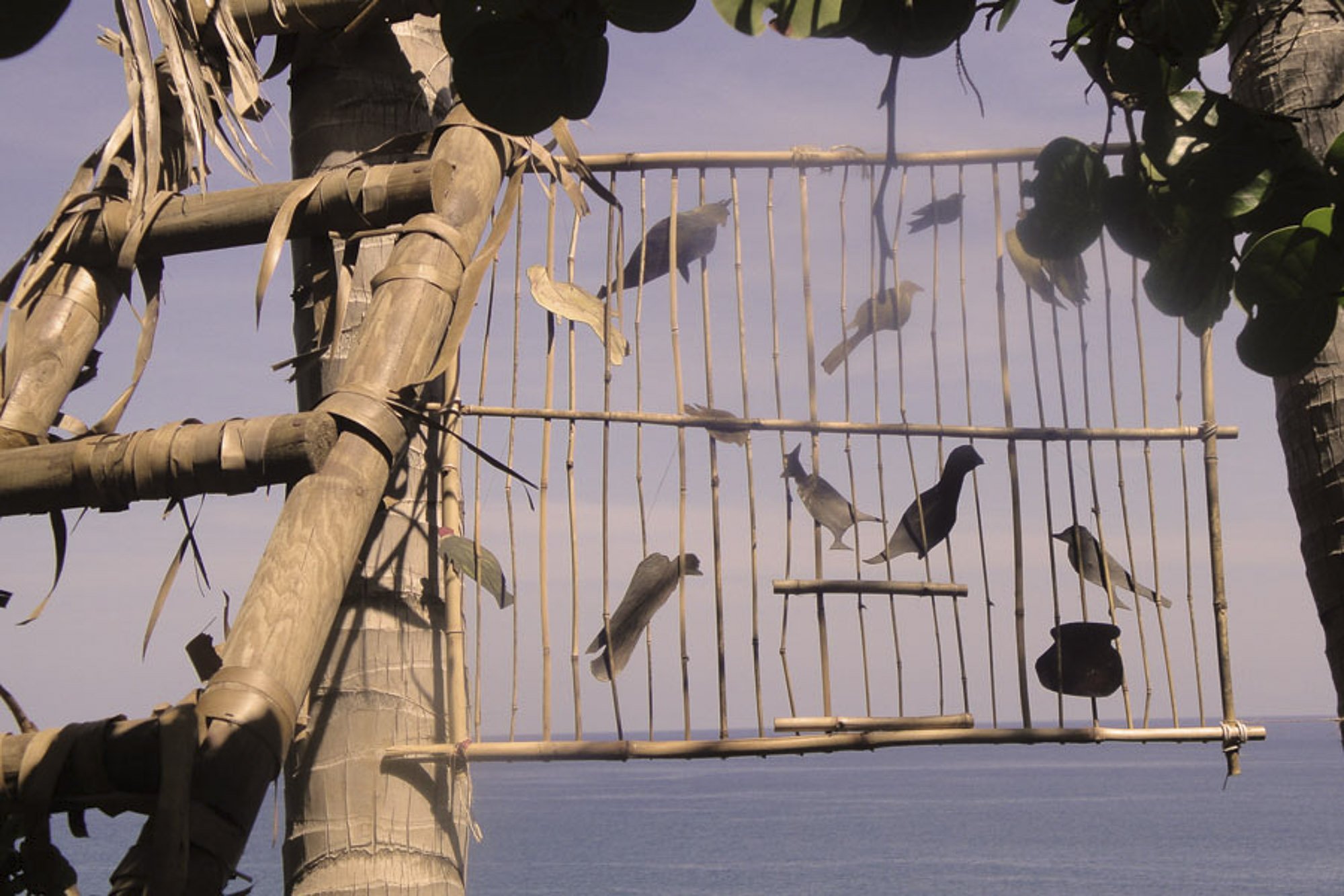 REVERON LA PAJARERA.jpg