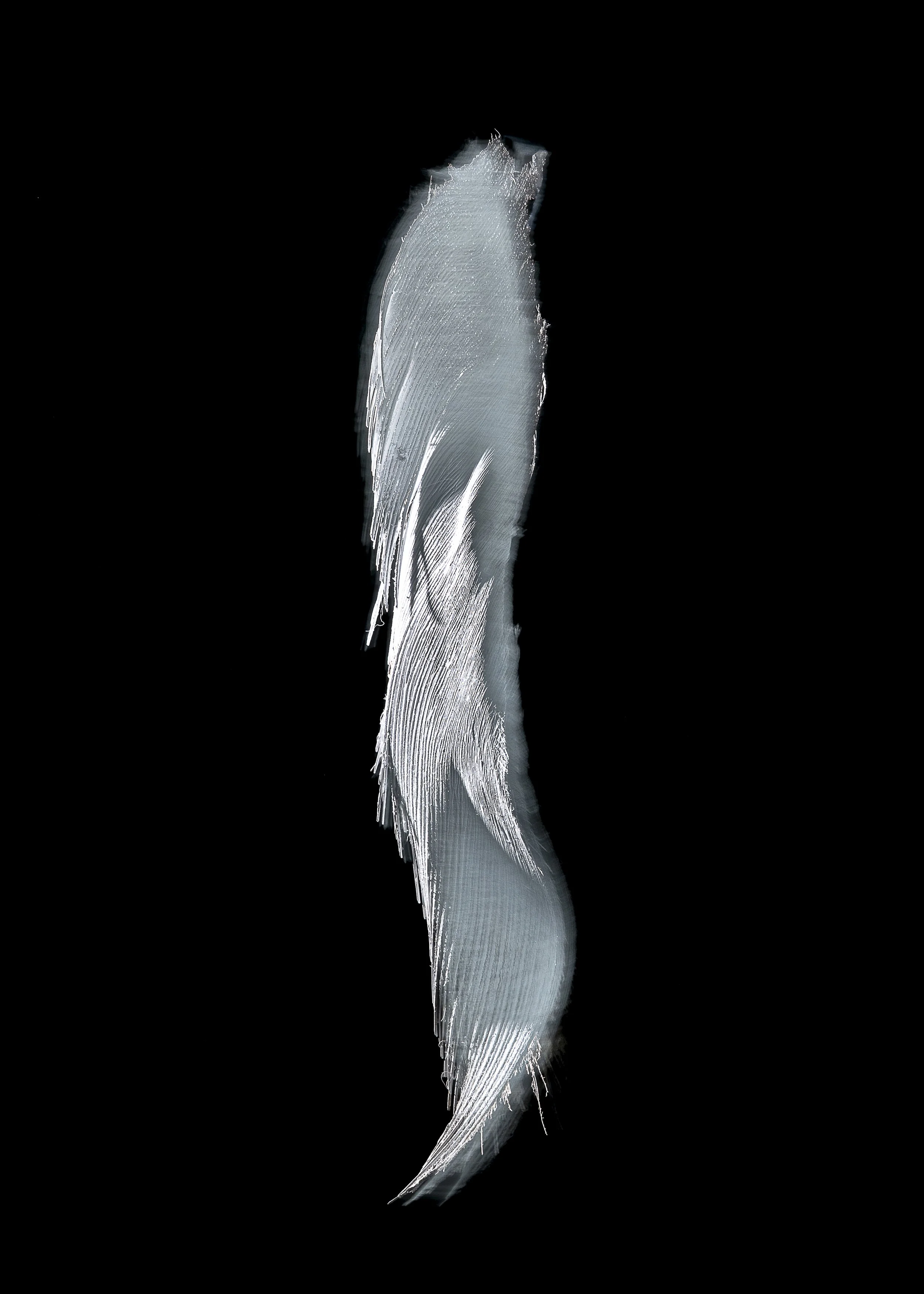 L1260135.jpg