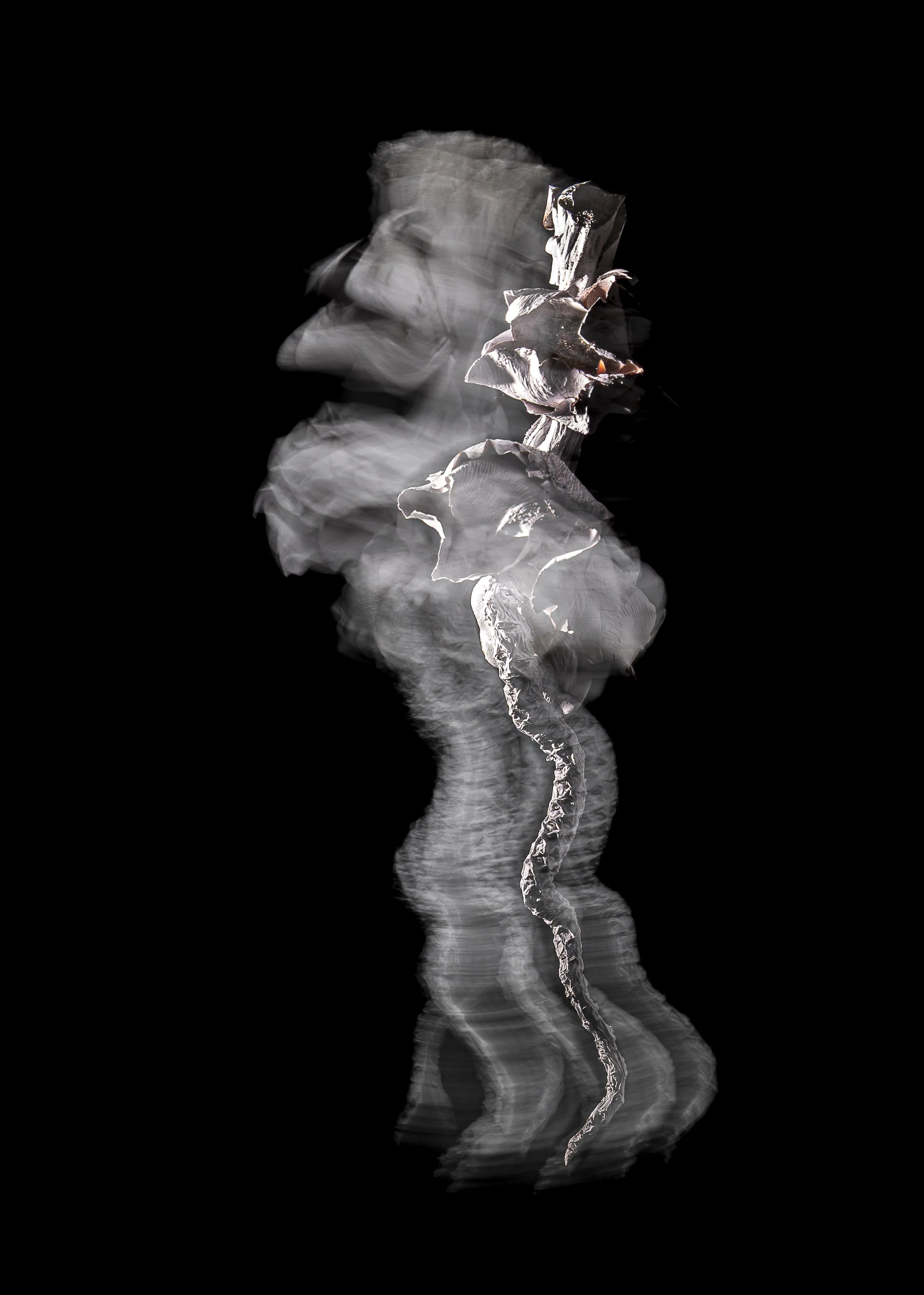 L1260281.jpg