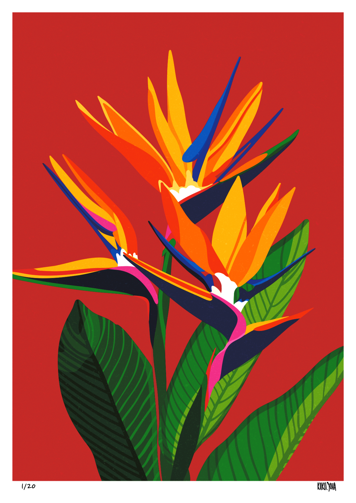 BIRD OF PARADISE