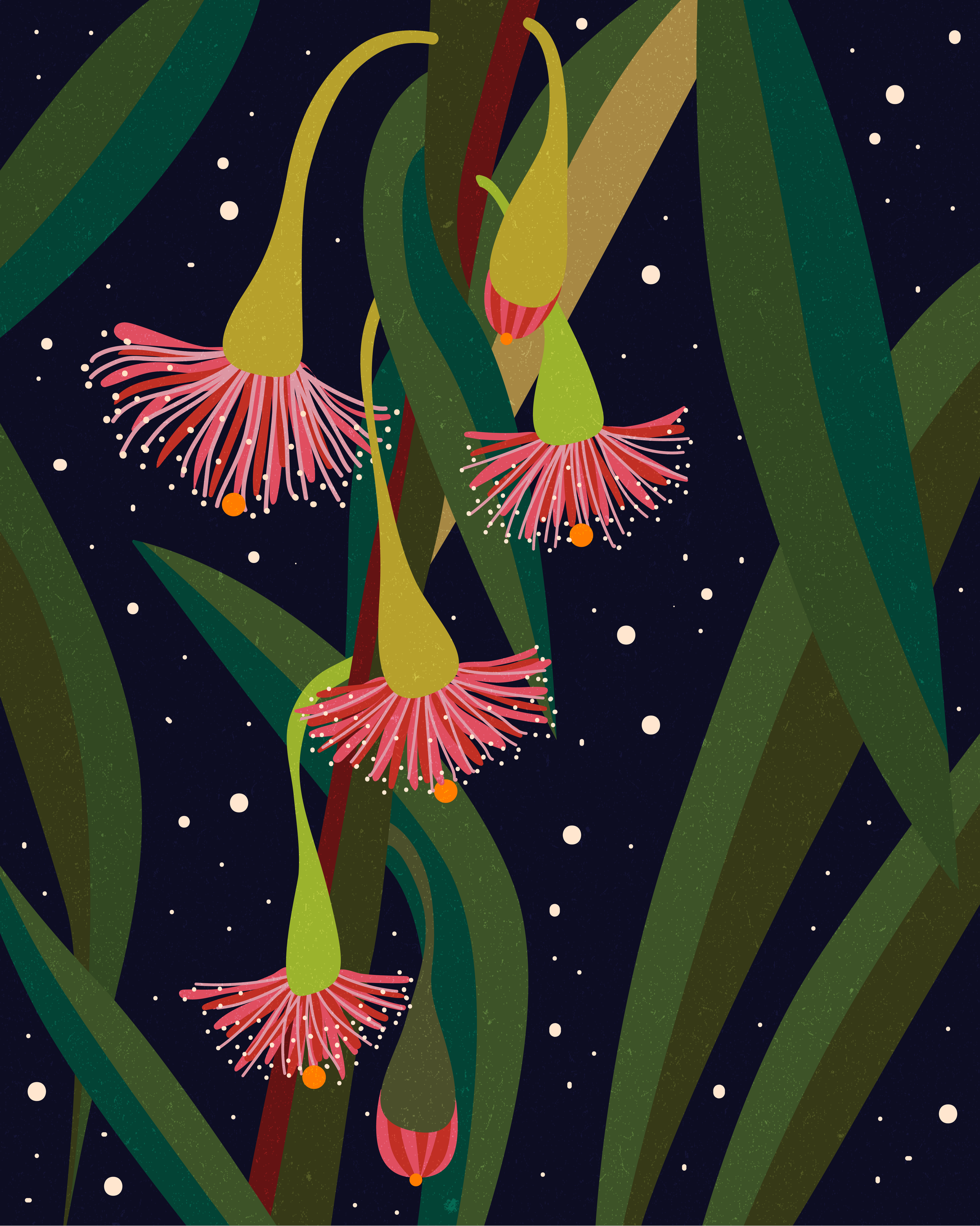   AUSTRALIAN FLOWER NO3    
  
Personal Work 