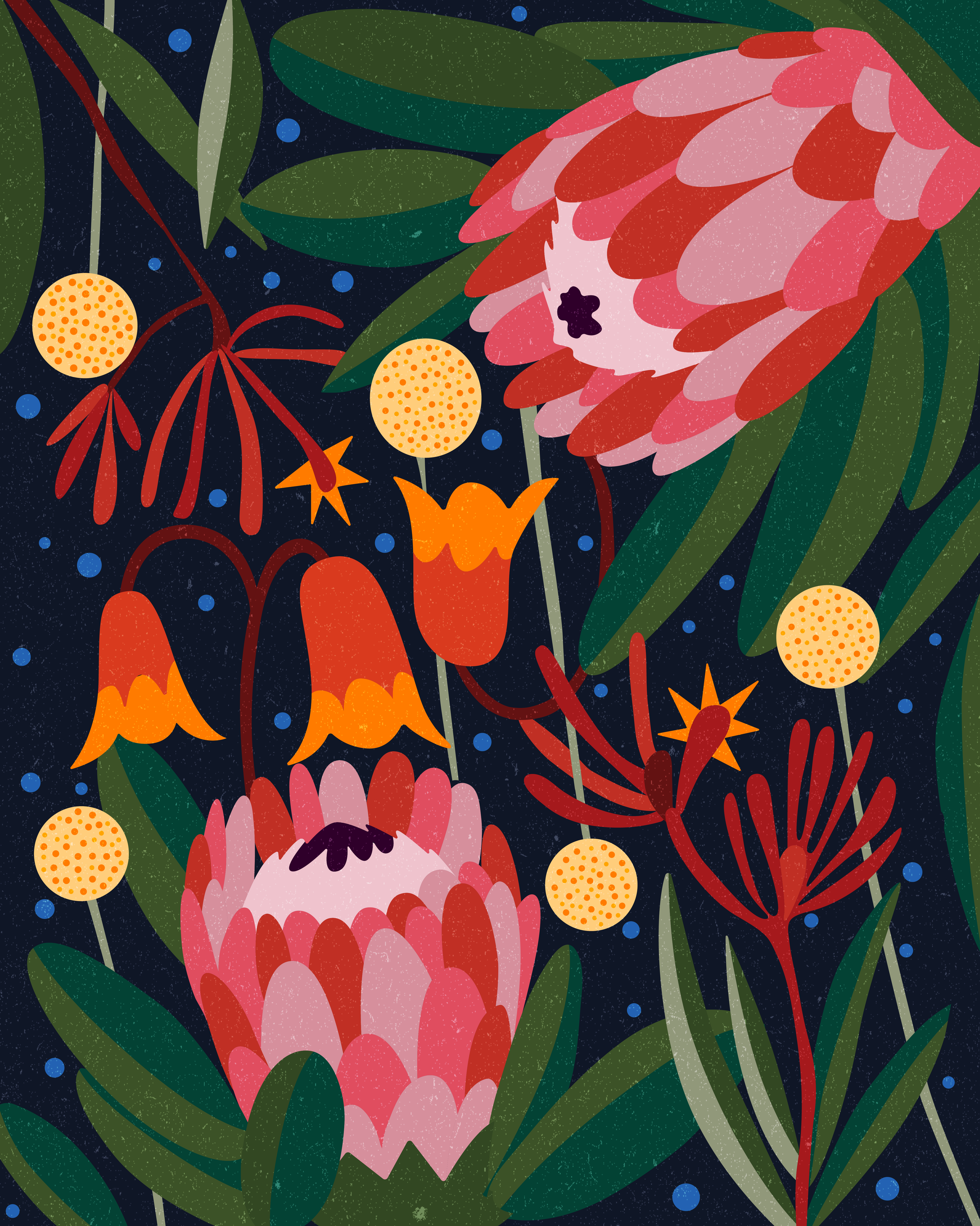   AUSTRALIAN FLOWER NO2    
  
Personal Work 