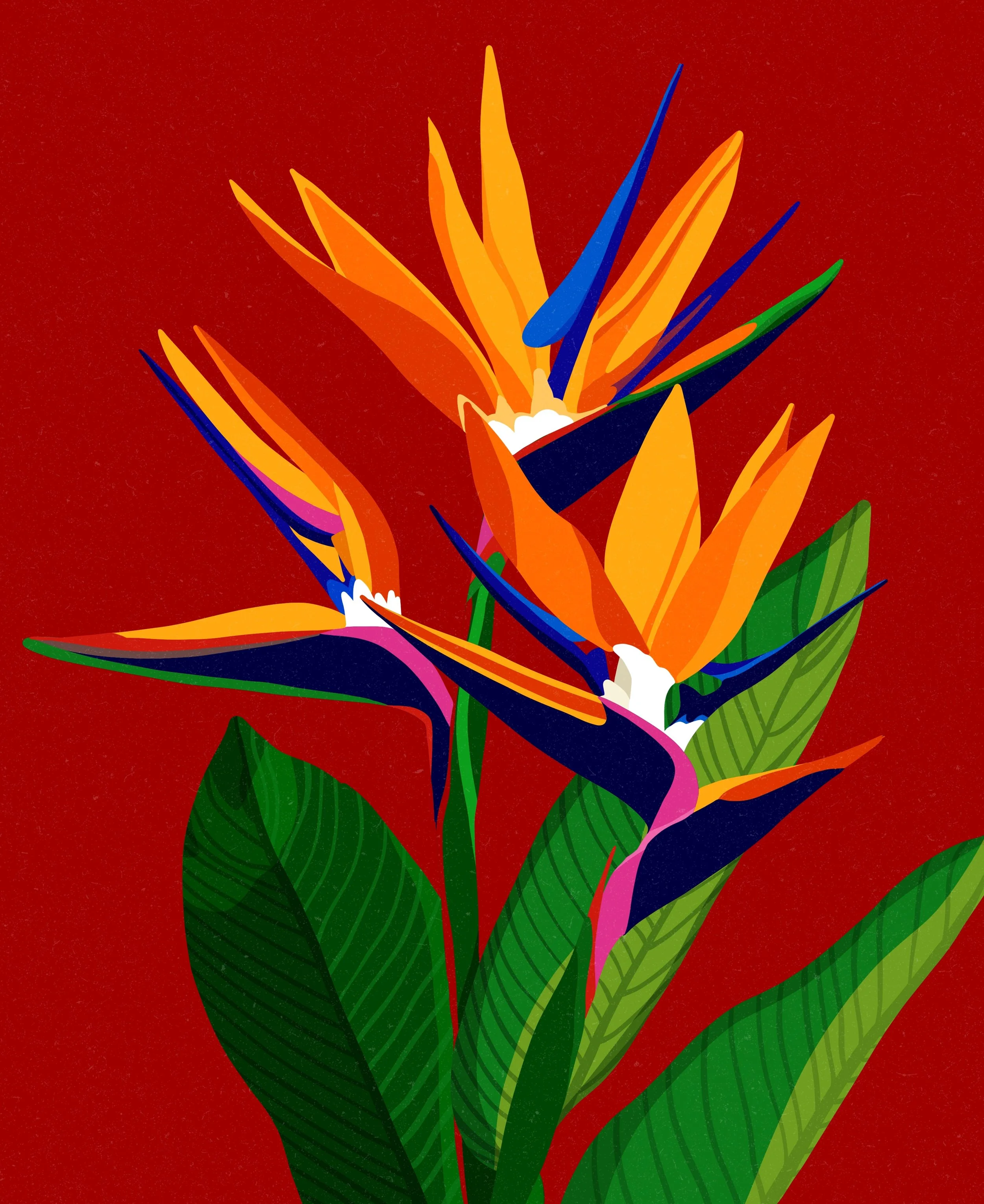   Mom’s favorite flower.    
  
Personal Work 