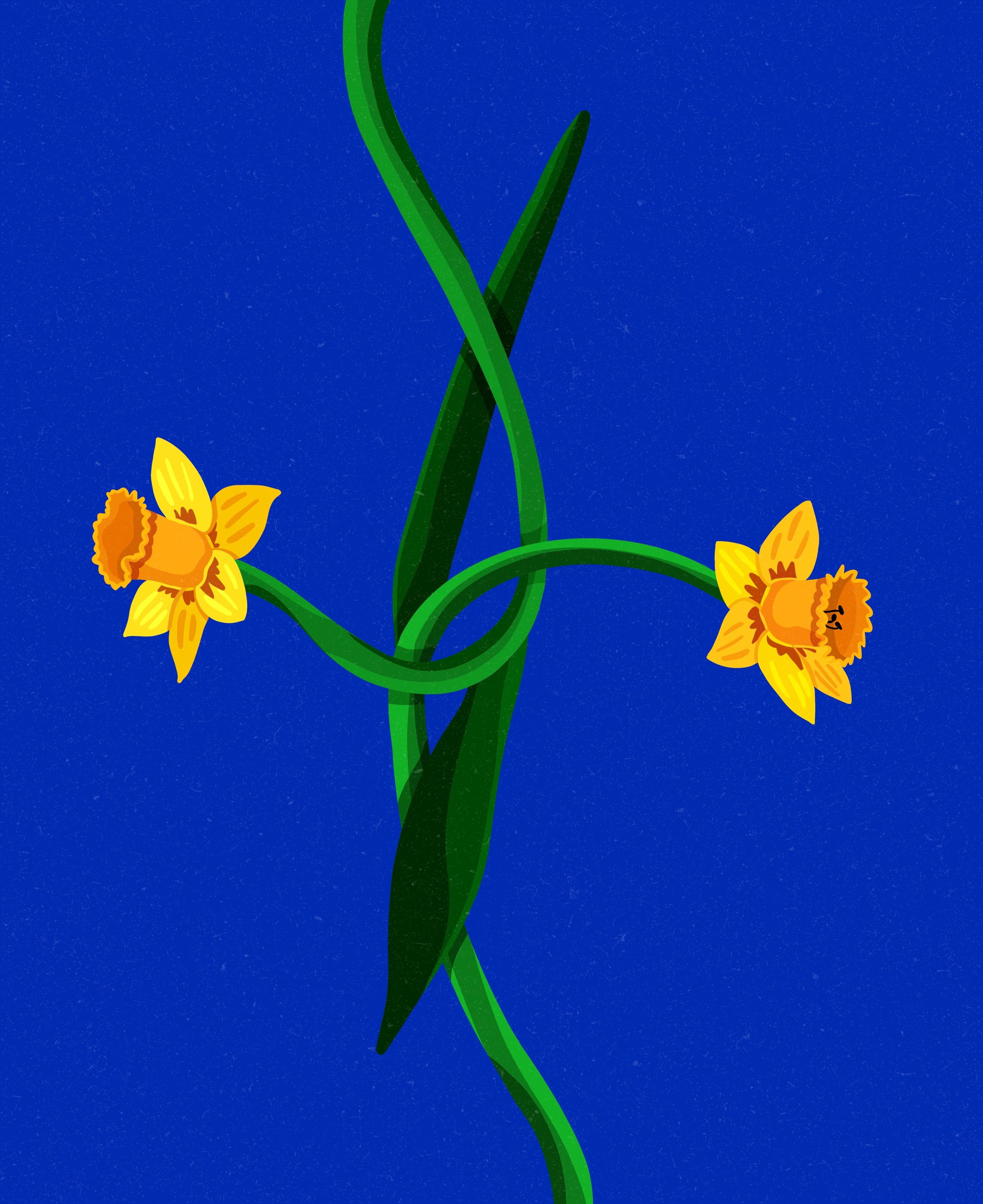  Quiet, almost symbolic    
  
Personal Work 