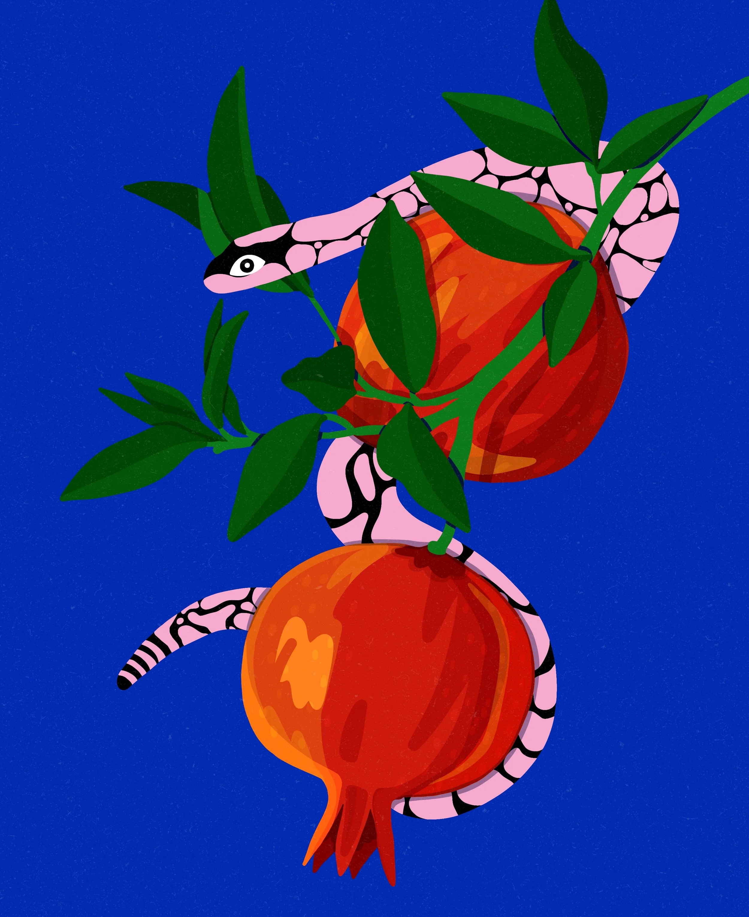   Fear meets aesthetics.     
  
Personal Work 